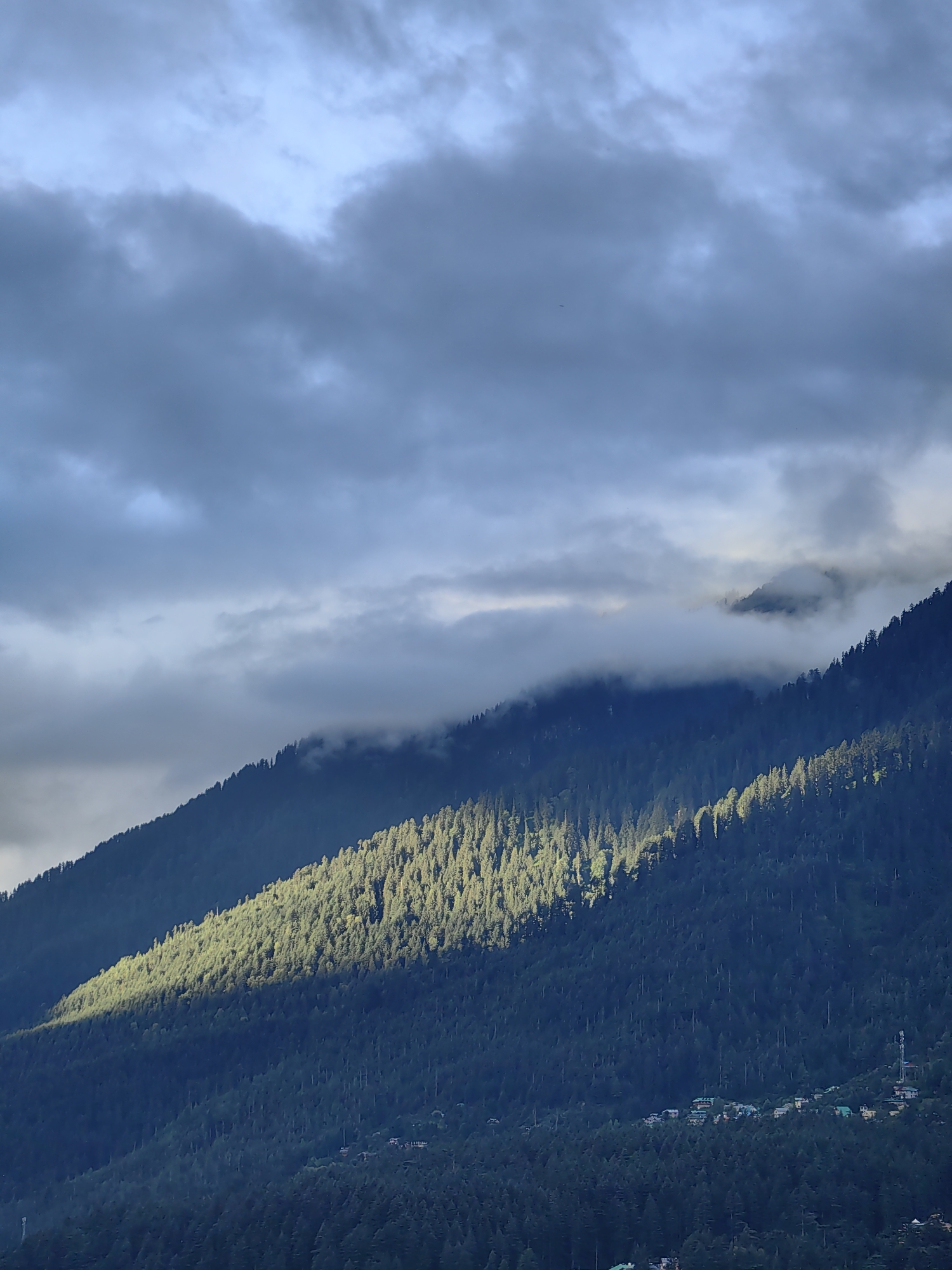 A dramatic mountain landscape is captured in this vertical, medium shot. The foreground is dominated by the dark, densely forested slopes of a mountain, likely in the vicinity of Vashisht, India. A distinct diagonal band of sunlight cuts across the mountainside, illuminating a portion of the forest with a vibrant green hue, contrasting sharply with the shadowed areas. The upper portion of the image shows a sky filled with dramatic, heavy clouds, tinged with shades of blue and gray. Some of these clouds appear to be obscuring parts of the higher mountain peaks, adding to the atmospheric depth of the scene. In the lower right section of the mountain slope, a small cluster of buildings, possibly a village or settlement, is visible nestled amongst the trees, with a telecommunications tower nearby. The image depicts a natural environment with signs of human habitation.