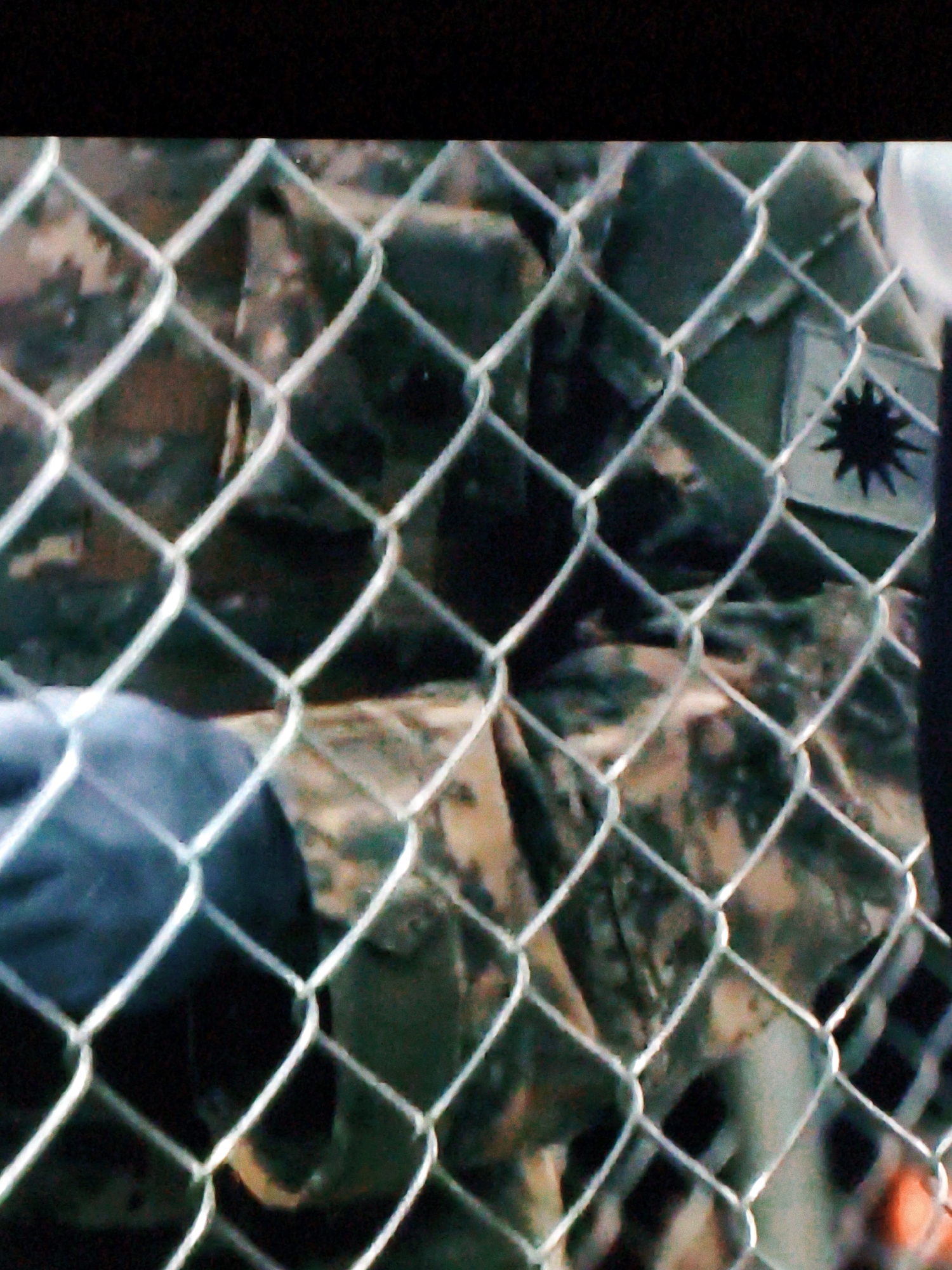 The image, captured in Vladivostok, Russia, depicts a chain-link fence in the foreground, partially obscuring the view of individuals wearing camouflage clothing. The fence's diamond-shaped mesh creates a layered effect, with the blurry figures visible behind it. One figure appears to be wearing a blue garment on their left arm. On the right side of the frame, a patch with a black, star-like emblem is visible on the camouflage uniform. The background is indistinct, suggesting an outdoor environment with muted colors and low light conditions.