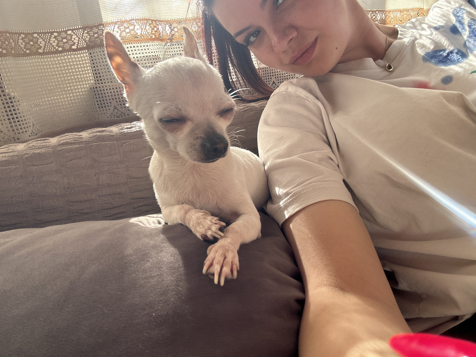 A woman with fair skin and freckles is sitting on a brown upholstered couch next to a white chihuahua. The dog has its paws resting on a grey pillow. The woman is wearing a white t-shirt with blue splotches. The setting appears to be indoors, with sunlight filtering through a patterned curtain in the background. There is no indication of a specific location such as the city of Chubra, Bulgaria.