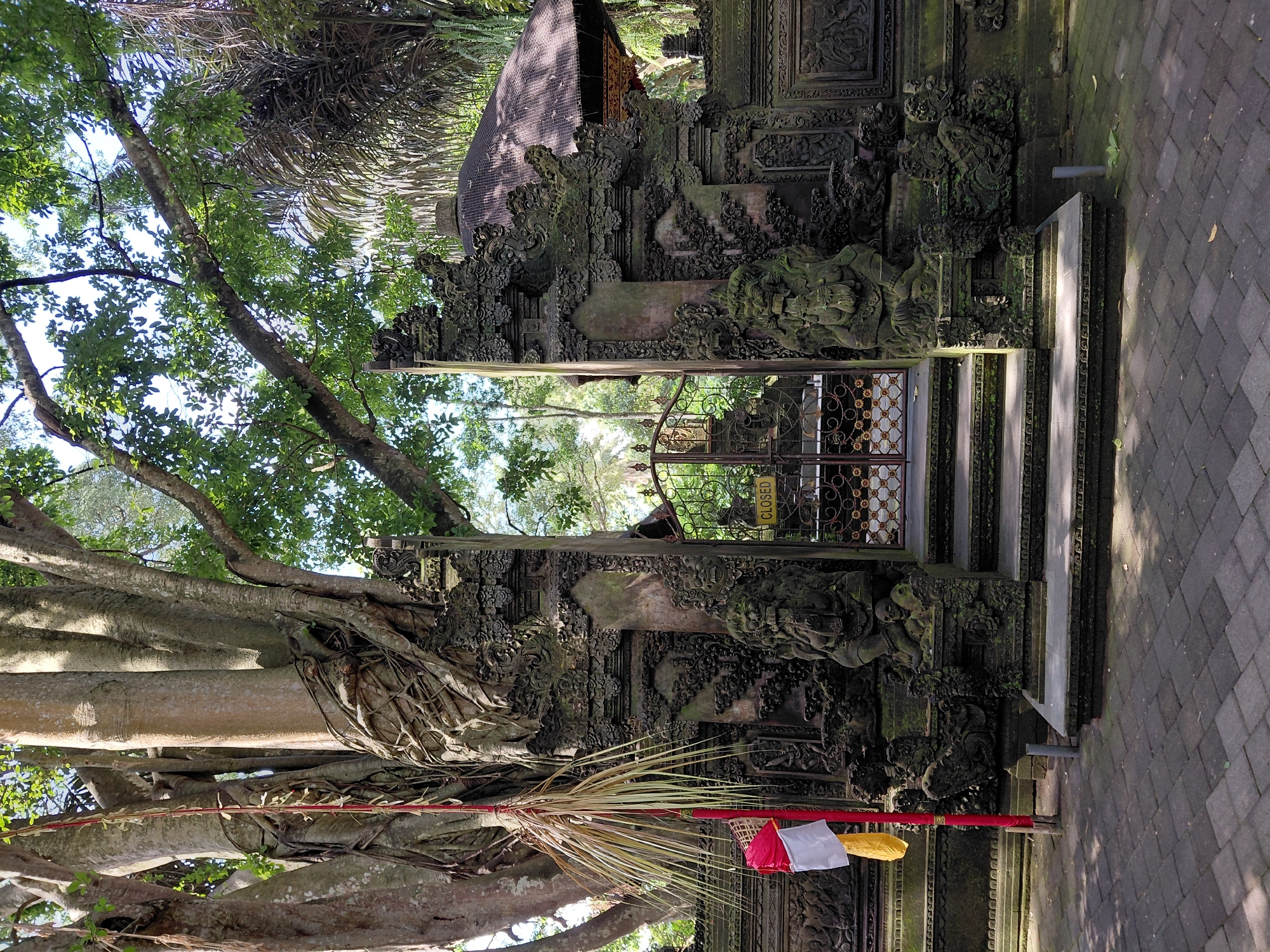 This is a full-shot, eye-level, outdoor, vertical photograph of the main entrance to the Sacred Monkey Forest Sanctuary in Ubud, Bali, Indonesia. The entrance is a stone temple-like structure with intricate carvings. A large, mature banyan tree with exposed roots grows on the left side of the entrance, entwined with a red pole adorned with a red, white, and yellow flag. A metal gate with ornamental details, displaying a yellow "CLOSED" sign, stands in the center of the entrance. Two stone guardian statues flank the gate. Steps lead up to the gate, and the ground in front is paved with dark grey cobblestones. Lush green trees and foliage fill the background, with a thatched-roof pavilion visible to the right. The lighting suggests it is daytime with dappled sunlight. There are no people visible in the image.