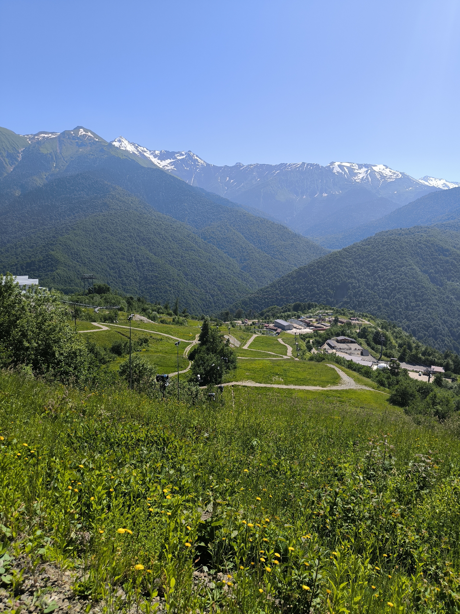 This is an eye-level, full, outdoor, horizontal shot of a mountain landscape under a clear blue sky. In the foreground, there is a patch of tall green grass with small yellow wildflowers. Behind the grass, winding dirt paths traverse a grassy hillside dotted with trees. Further in the background, several buildings are clustered on a plateau, surrounded by more trees and winding paths. Beyond the plateau, lush green mountains rise, their slopes covered in dense forests. In the far distance, majestic snow-capped mountains complete the horizon. The scene appears to be a natural landscape with some human development, possibly a resort area.