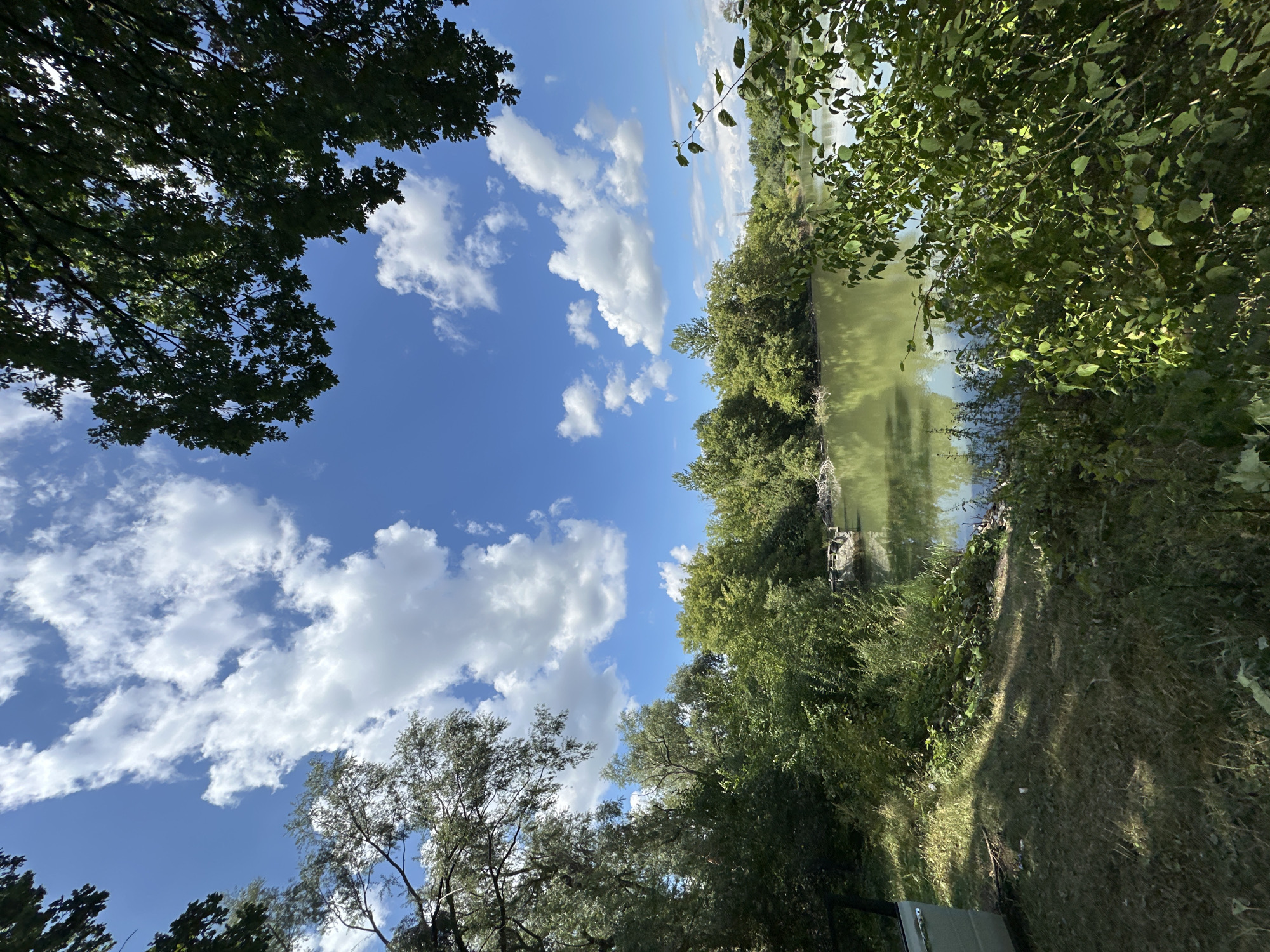 An outdoor, ground-level, eye-level, wide-angle shot captures a serene natural landscape, likely in or near Makiv, Ukraine, on a clear day with a bright blue sky filled with fluffy white clouds. The foreground is dominated by lush green grass and dense foliage, with the side of a light-colored vehicle partially visible on the left. The grass shows dappled sunlight and shadows, indicating a tree canopy overhead.
The midground features a tranquil body of water, possibly a river or lake, with its surface reflecting the surrounding greenery and sky. Along the water's edge, dense trees and shrubs form a verdant wall. A small, man-made structure, appearing to be a rustic wooden dock or platform, juts out into the water from the left bank, its surface partially submerged or weathered.
The background is a thick expanse of trees, creating a natural barrier that stretches across the horizon. The overall impression is one of peaceful, unspoiled nature, with hints of human presence in the form of the vehicle and the small dock. The scene is bathed in natural light, suggesting it was captured during daylight hours.