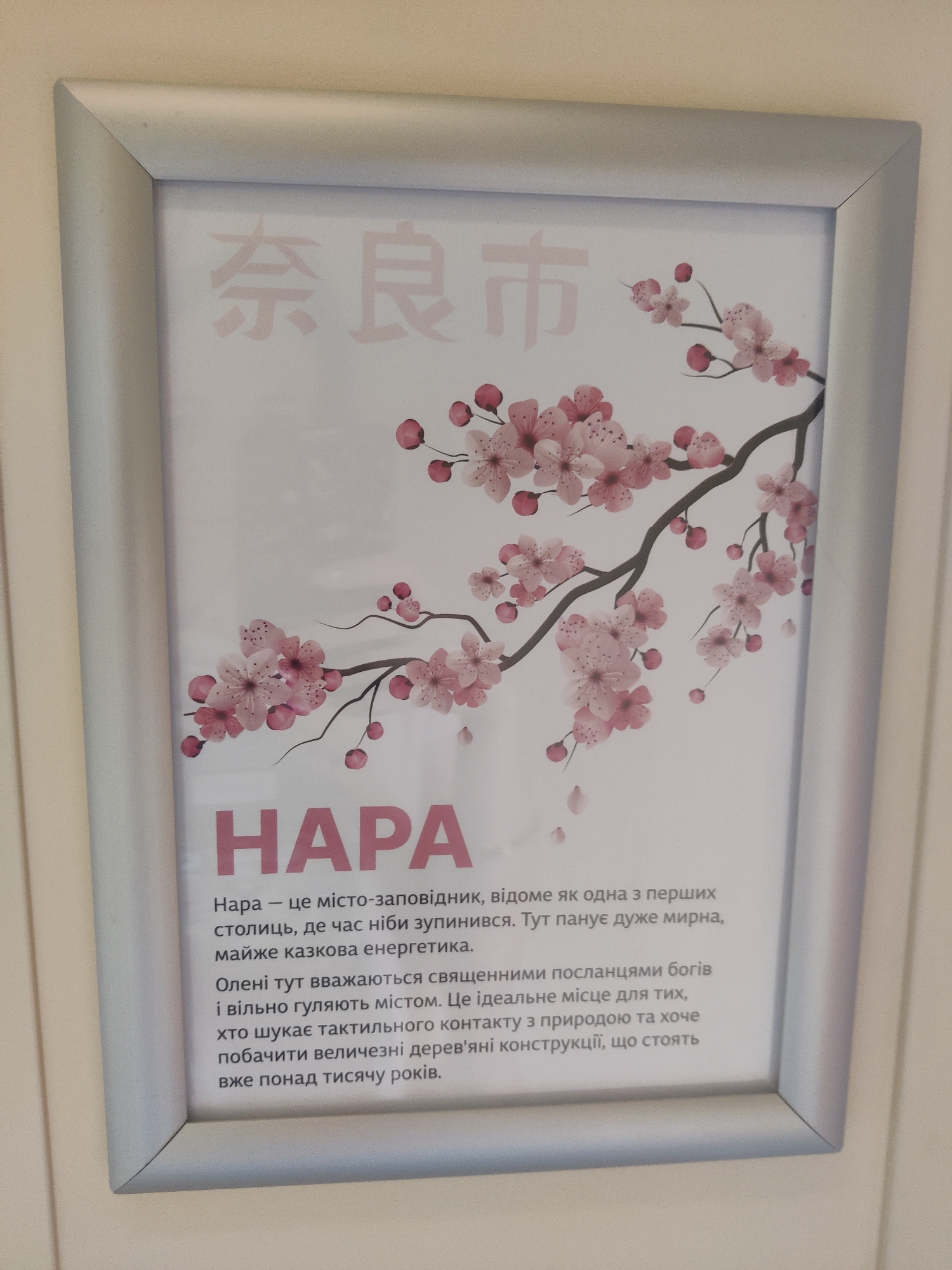 The image shows a framed poster with Japanese characters at the top and the word "HAPA" in large pink letters below them. The poster features an illustration of a cherry blossom branch. Below "HAPA", there is text in Ukrainian describing Nara as a sanctuary city where time seems to stand still and the atmosphere is magical. It also mentions that deer are considered messengers of the gods and roam freely, making it an ideal place for those seeking contact with nature and ancient wooden structures that have stood for over a thousand years. The poster is displayed indoors, likely in a public space, given the framing and presentation. The background is a plain, light-colored wall. There are no people visible in the image. The location of Kriukivshchyna, Ukraine, is not depicted or implied in the image itself.