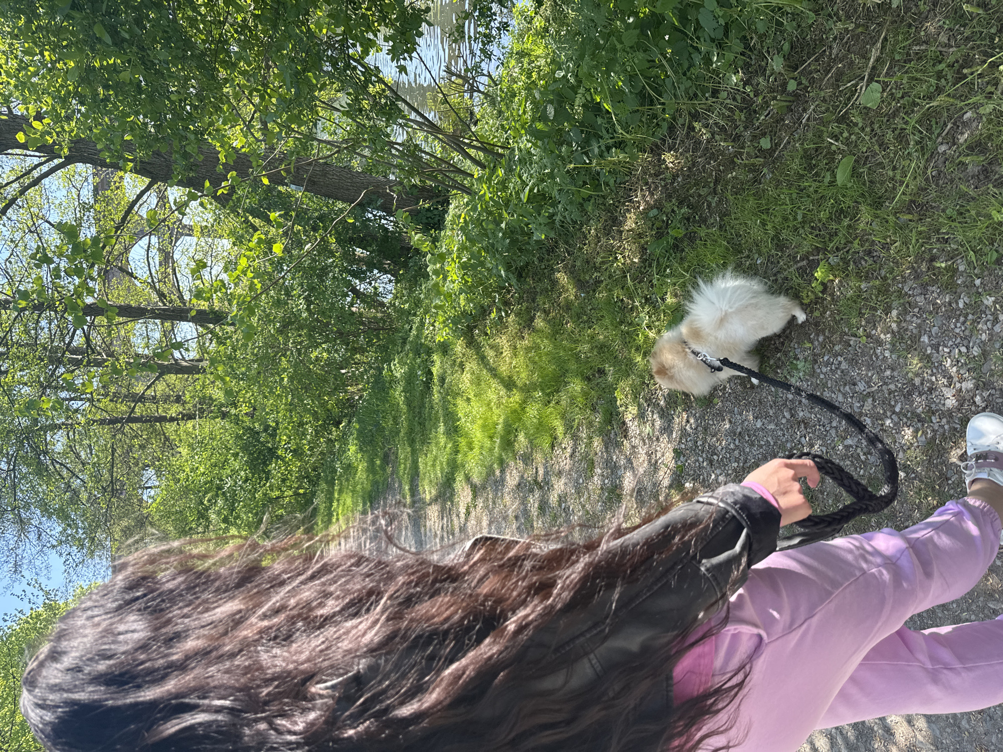 A person with long, dark brown hair, wearing a black jacket and light purple sweatpants, is walking a small, tan and white dog on a leash along a gravel path in Bietigheim-Bissingen, Germany. The path is lined with lush green vegetation and trees. In the background, water is visible through the trees. The photo is taken from a first-person perspective, showing the person's arm and the leash in their hand.