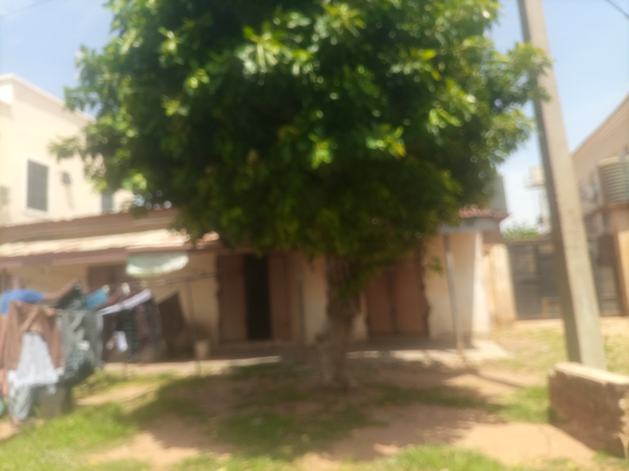 The image depicts a slightly blurry outdoor scene, possibly in Arawa, Nigeria. A large, leafy tree is centrally located, with its branches extending over the foreground. To the left, a building with a light-colored facade and dark-framed windows is visible. In front of this building, laundry is hanging on a line, with several items of clothing, including what appear to be shirts and trousers, in various colors such as brown, blue, and white.
To the right of the tree, another building with a light-colored, textured wall and a light brown roofline is present. A tall, slender, light-colored pole, possibly a utility pole, stands vertically in front of this building. Further to the right, another building with a similar light-colored facade and a visible air conditioning unit is visible. The ground is covered with patchy grass and dirt. The sky is clear and blue. The overall impression is of a residential or mixed-use area with everyday activities like laundry drying taking place.