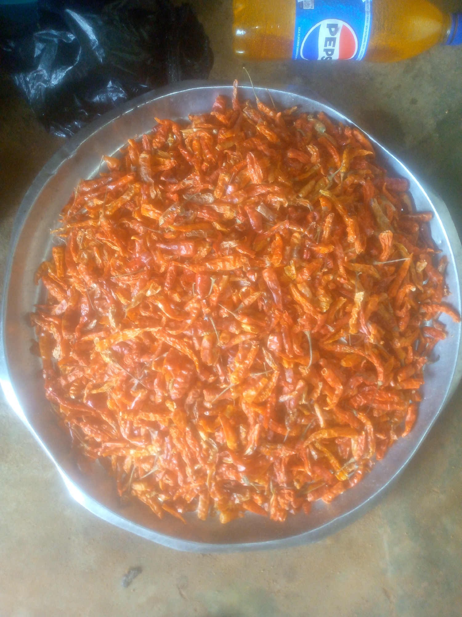 The image displays a close-up, overhead view of a large, circular metal tray filled with a substantial quantity of dried red chili peppers. The peppers are primarily orange-red, appearing shriveled and dry, with some stalks still attached. They are evenly spread across the entire surface of the tray, which has a shiny metallic rim.
In the upper left background, a crumpled black plastic bag is visible. To the right, a plastic bottle lies horizontally, partially obscured. The bottle has a blue cap and a prominent "PEPSI" label, with faint, illegible text around it. The liquid inside the bottle appears yellowish. The surface beneath the tray and other objects is a light brown, possibly concrete or a tiled floor, suggesting an indoor or shaded outdoor setting. The lighting is bright, indicating it is daytime. There are no people visible, and no specific activity is taking place; the scene appears static, showcasing ingredients, likely for culinary use.