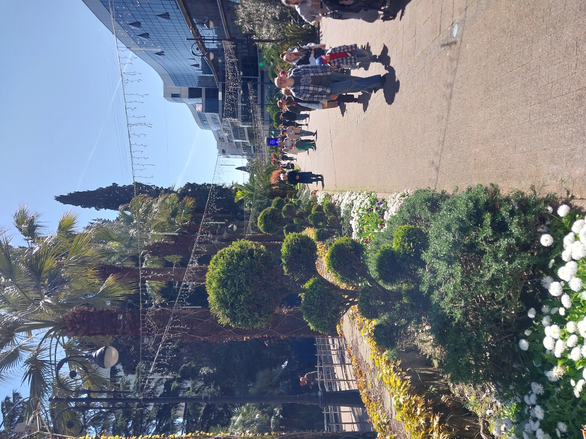 A sunny day view of a vibrant pedestrian promenade or park walkway in an urban setting, likely in Sochi, Russia. The image is taken from a slightly elevated perspective looking down the path.
In the foreground, a well-maintained garden bed features lush green topiary shrubs and numerous white daisy-like flowers. A stone wall with yellowing foliage runs along the edge of the path.
The paved walkway stretches into the distance, occupied by several people strolling casually. Most individuals are walking away from the camera, casting long shadows on the ground, indicating a bright sun overhead. One person in a plaid shirt and jeans is more prominently visible in the mid-ground, facing slightly towards the camera.
To the left of the path, a variety of palm trees and other dense green foliage create a tropical ambiance. Decorative string lights, possibly for evening illumination, are strung across the path and between trees. A black lamppost with a light fixture is also visible on the left.
In the background, modern buildings with reflective glass facades rise against a clear, bright blue sky. Some indistinct white text, possibly "EVA," can be faintly seen on one of the buildings. The overall impression is one of a pleasant, well-kept public space, bustling with people enjoying the sunny weather.