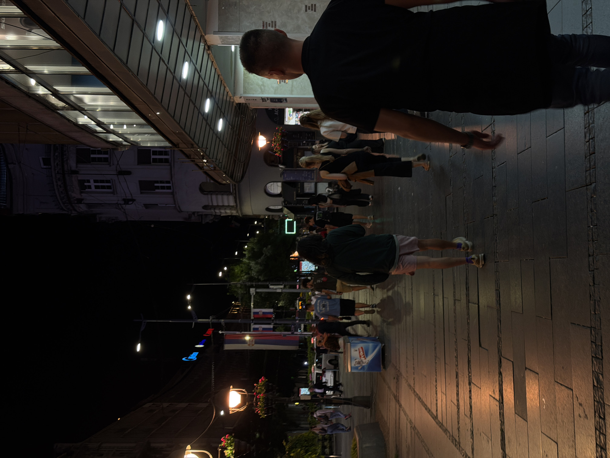 A nighttime street scene in Belgrade, Serbia, shows a pedestrian walkway lined with buildings and streetlights. In the foreground, a person with short hair and wearing a black t-shirt and jeans is walking away from the camera. Further down the walkway, other pedestrians are visible, some walking in groups and others individually.
The environment includes a row of shops with illuminated windows and signage on the right side of the frame, contrasting with the darker facade of an older building on the left. Streetlights cast a warm glow on the paved walkway, creating illuminated patches and shadows. A blue and white cooler sits on the sidewalk. Serbian flags are displayed on poles in the background, indicating the location. The overall atmosphere is that of a bustling urban evening.