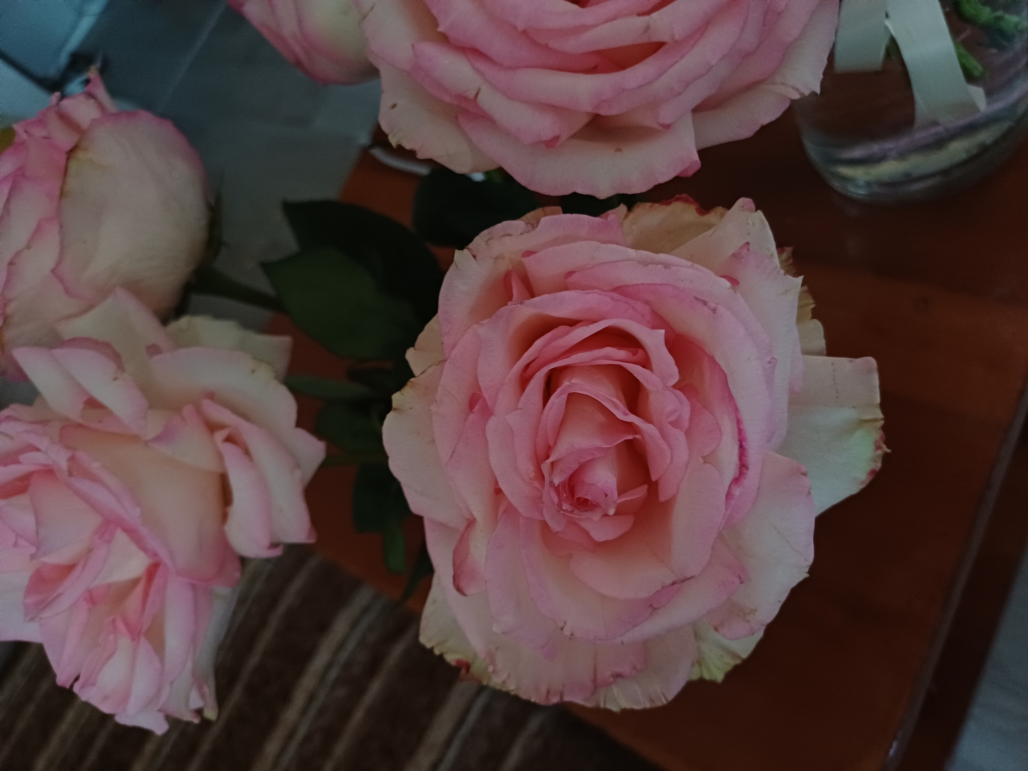 A close-up shot features a bouquet of pink roses with white edges. The roses are in full bloom, with delicate petals unfurling to reveal their intricate centers. The lighting highlights the soft texture of the petals, creating a gentle glow. The background is blurred, with hints of brown and green, suggesting an indoor setting. The scene is likely captured on a flat surface, possibly a table, given the depth of field.