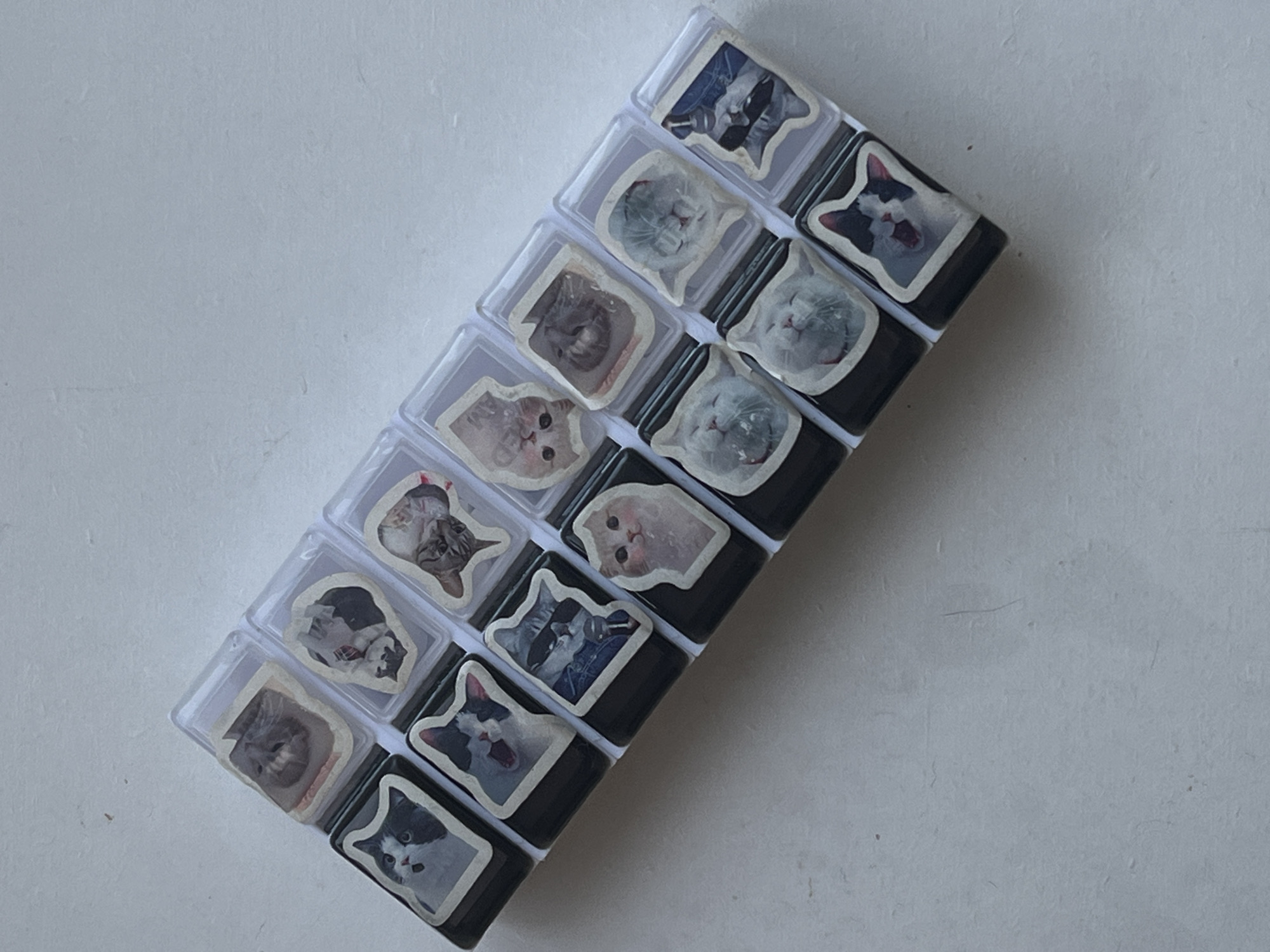 The image displays a collection of approximately 16 black and white cat-themed keycaps, arranged in two rows. Each keycap features a clear plastic casing with a sticker of a cat's face on it. The keycaps are positioned on a white, textured surface, possibly a table or desk. There are no people visible in the image, and the scene appears to be indoors. The image does not contain any information that would allow for the determination of its location in Genemuiden, Netherlands.
