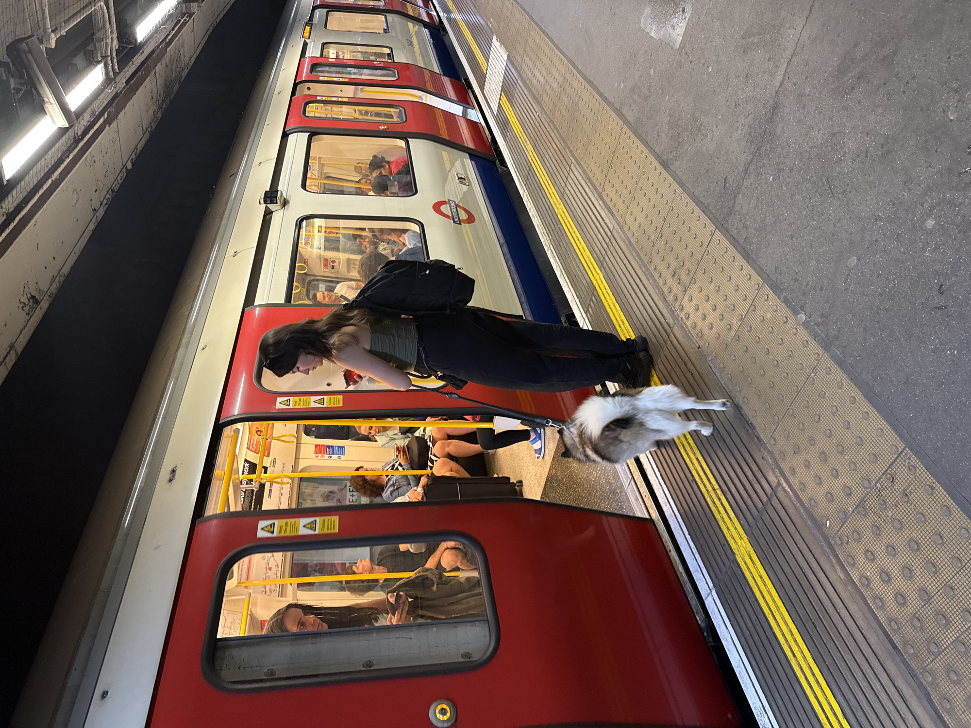 The image shows a woman standing on a subway platform next to a London Underground train. She is holding a dog on a leash. The train is red, white, and blue, and has the London Underground logo on it. People are sitting inside the train. The platform has tactile paving and a yellow line indicating the edge. The location is likely a London Underground station.