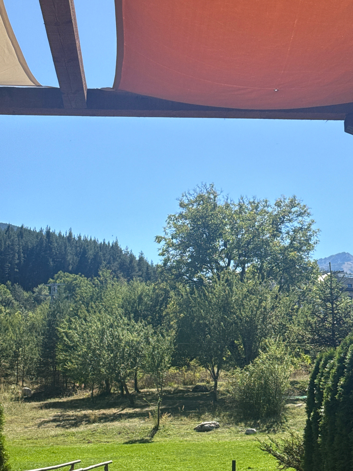 This is a daytime, eye-level shot of a natural landscape viewed from under a canopy. The canopy is constructed of dark wooden beams and covered with two sections of fabric, one tan and one orange. Below the canopy, the scene opens to a clear blue sky.
In the midground, a lush forest dominates the view, with a dense line of dark green pine trees forming a backdrop. In front of these, a variety of deciduous trees with lighter green foliage are scattered. One large deciduous tree with a wide, spreading canopy is prominently featured in the center-right of the frame.
The foreground consists of a bright green, well-maintained lawn. A rustic wooden fence is partially visible at the bottom edge of the image. Scattered rocks and shadows of trees are present on the lawn and in the more wooded areas. In the distance, the outlines of mountains can be seen against the sky.
The image appears to have been taken in Bansko, Bulgaria, given the characteristic mountain landscape and the presence of a well-kept outdoor area likely associated with a hotel or resort. There are no people or animals visible in the image. The overall impression is one of a serene and natural environment on a sunny day.