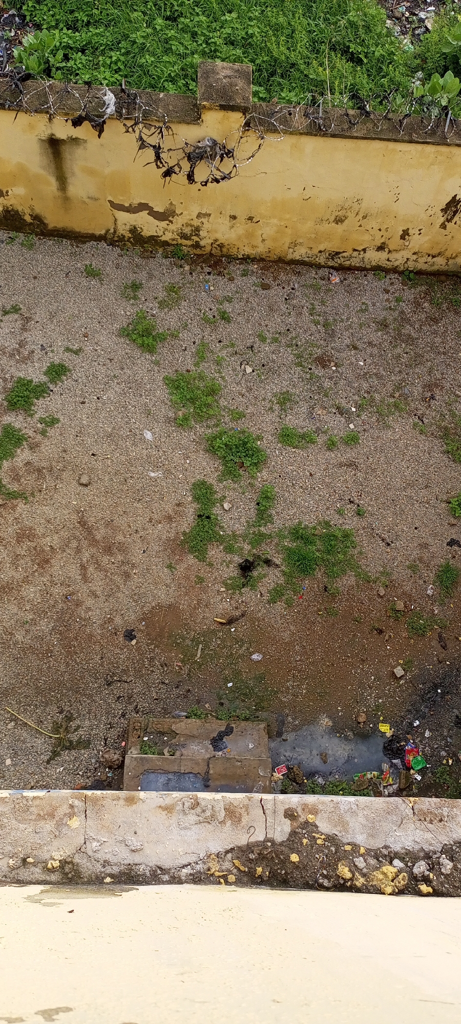 An outdoor, top-down aerial view shows a section of a neglected urban environment in Unknown, Unknown. A tan-colored wall, weathered and peeling, runs across the top of the frame, topped with a line of barbed wire. Some debris is caught in the barbed wire. Green vegetation grows abundantly behind the wall. Below the wall is a surface of gravel and dirt, with patches of sparse green weeds. In the lower portion of the frame, a concrete drainage structure is visible, with murky water and scattered trash, including plastic bags, bottles, and wrappers, surrounding it. The ground shows signs of dampness and neglect.