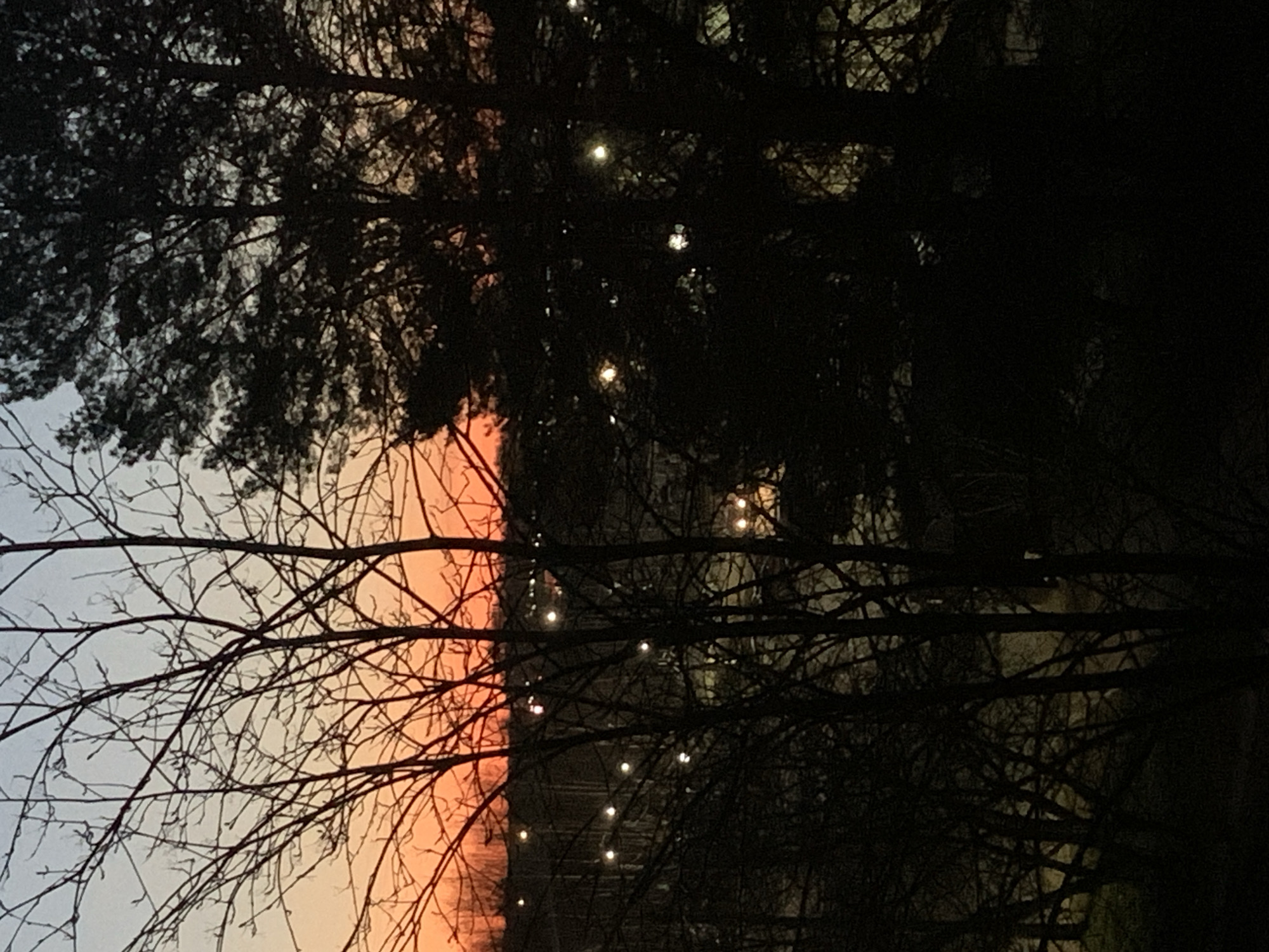 The image shows a view through tree branches at dusk. The sky transitions from light blue to orange and red, indicating a sunset or sunrise. Some branches are bare, while others have dense foliage. Strings of lights are draped among the trees, with the lights appearing as small, bright dots. The overall scene has a natural, urban, and serene atmosphere. The city of Chaikovsky, Russia is not evident in the scene.