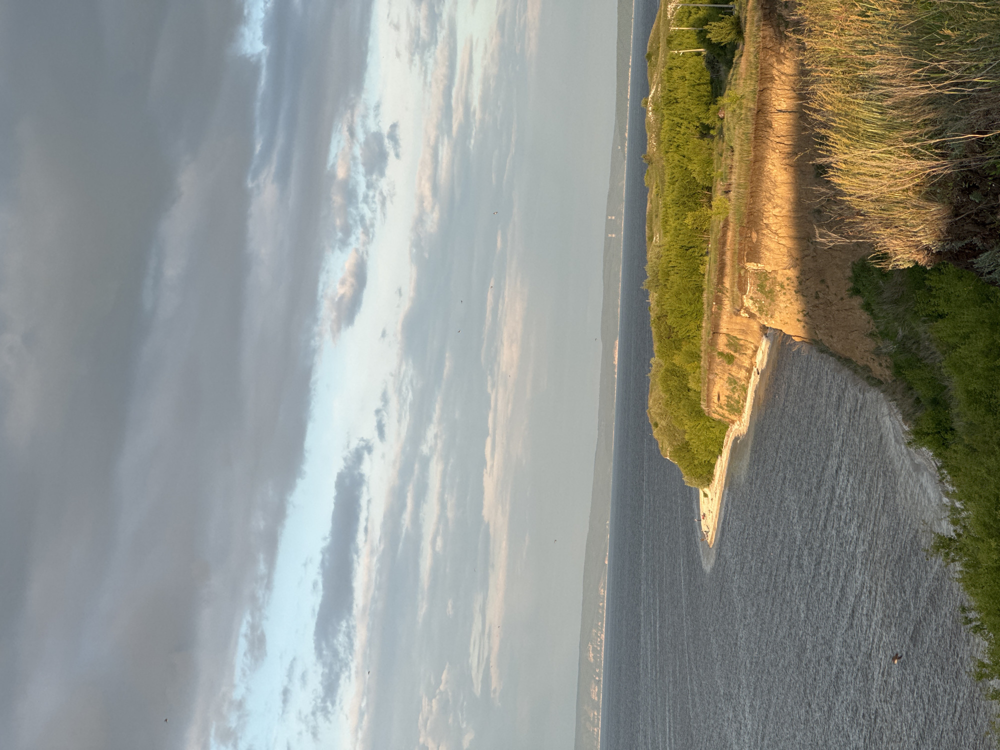 The image displays an elevated scenic view of a wide body of water, likely a river or bay, under a partly cloudy sky during what appears to be late afternoon or early evening. The upper portion of the frame is occupied by a mix of medium gray and lighter gray clouds, with several patches of light blue sky visible, particularly in the upper left and central regions. Numerous small, dark specks, presumed to be birds, are scattered across the sky, with one larger bird-like silhouette noticeable in the mid-left area of the clouds.
A distant, low-lying landmass covered in dark green vegetation stretches across the horizon, forming the far bank of the water body. Faint industrial-like structures or towers are subtly visible on this distant horizon in the mid-right.
The main body of water, a deep blue-gray, exhibits subtle ripples on its surface, indicating gentle movement. It curves around a prominent earthen cliff or bluff that dominates the right side of the mid-ground and extends towards the left. This cliff face, composed of exposed sandy-brown and ochre-colored soil, is strongly illuminated by direct sunlight, creating distinct highlights and shadows.
At the base of the cliff, a narrow strip of light-colored sand and pebbles forms a beach where the water meets the land. Approximately half a dozen small human figures are visible on this beach in the mid-left, appearing to be engaged in leisure activities such as standing or walking near the water's edge.
The top of the cliff and the land immediately behind it are densely covered with vibrant green trees and shrubs. The immediate foreground on the lower right features tall, dry-looking golden-brown grasses, brightly lit by the sun, alongside some darker green foliage. Another bird-like object is flying low over the water in the lower-left quadrant of the image. The overall light quality suggests a low sun angle, typical of sunset or sunrise. The location is Unknown, Unknown.