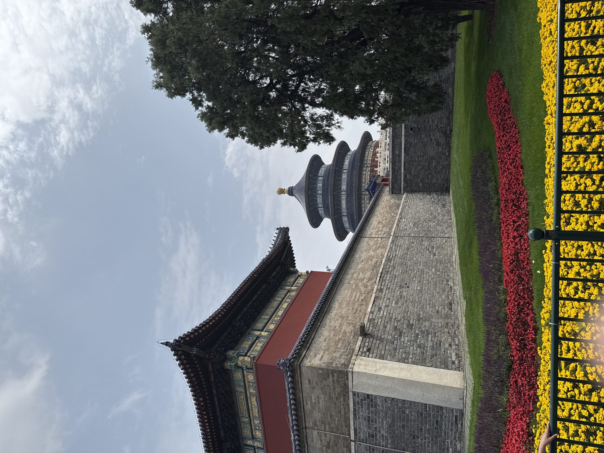 The image captures a view of the Temple of Heaven in Dongcheng District, Beijing, China. The foreground features manicured flower beds of yellow and red with greenery interspersed. A grey brick wall extends to the left, with the blue-roofed Temple of Heaven rising above it. A mature tree looms behind the temple. The sky is overcast with white clouds. The image is angled upward, creating a perspective that emphasizes the height of the structures.