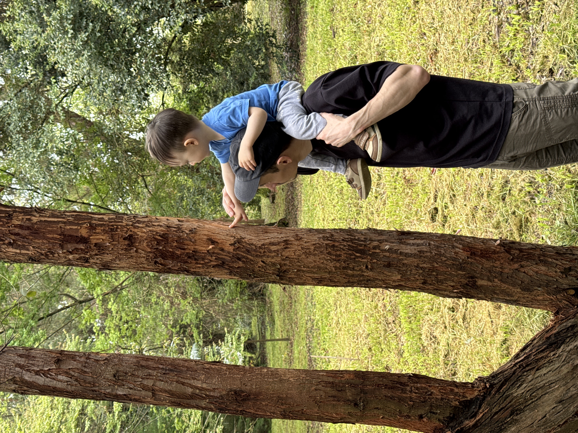 A man carries a young child on his shoulders outdoors, likely in a park or wooded area. The child, wearing a blue shirt and gray pants, is reaching out toward a tree trunk. The man, in a black shirt and khaki pants, is holding the child’s legs for support. The environment consists of trees, grass, and foliage. Location unknown, not Sirius, Russia.
