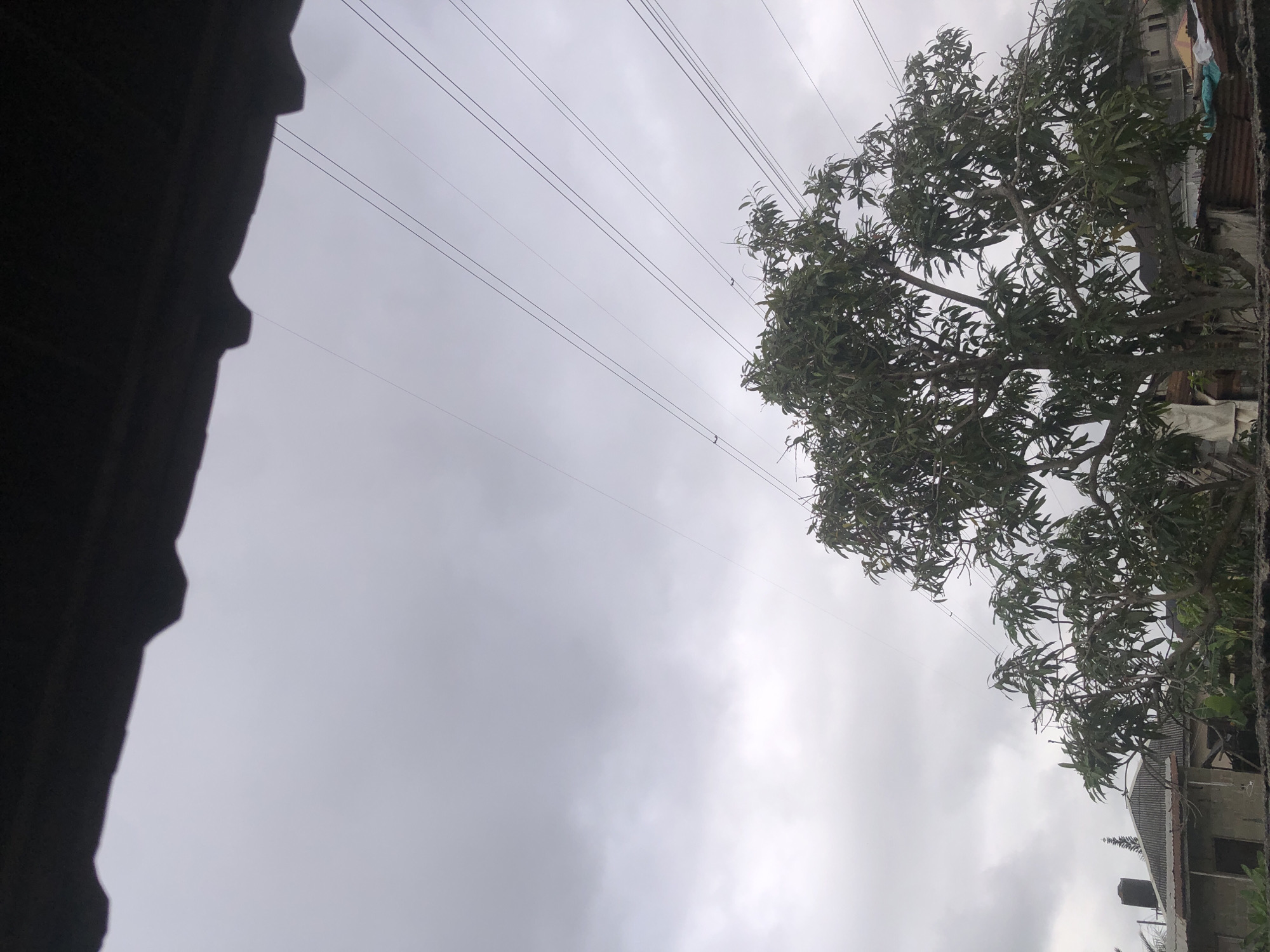 The image depicts an overcast sky with visible power lines stretching diagonally across the frame. In the foreground, the top edge of a dark, corrugated roof is visible, casting shadows. Below the sky and power lines, a large, leafy tree dominates the midground, its branches spread wide. Behind the tree, the rooftops of several buildings can be seen, suggesting a residential area within a city. The architectural style of the buildings, particularly the use of concrete and corrugated iron, is consistent with urban environments in Nigeria. The overall atmosphere is subdued due to the cloudy weather.