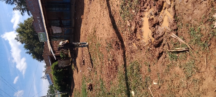 The image shows a dirt road in Lwandeti, Kenya. The road is muddy and there are puddles of water on it. There are buildings on either side of the road, including a small shop. A man in a blue shirt and jeans is walking on the road. The man has a backpack on his back. The scene is lit by the sun. The sky is blue with a few white clouds. There are power lines running overhead.