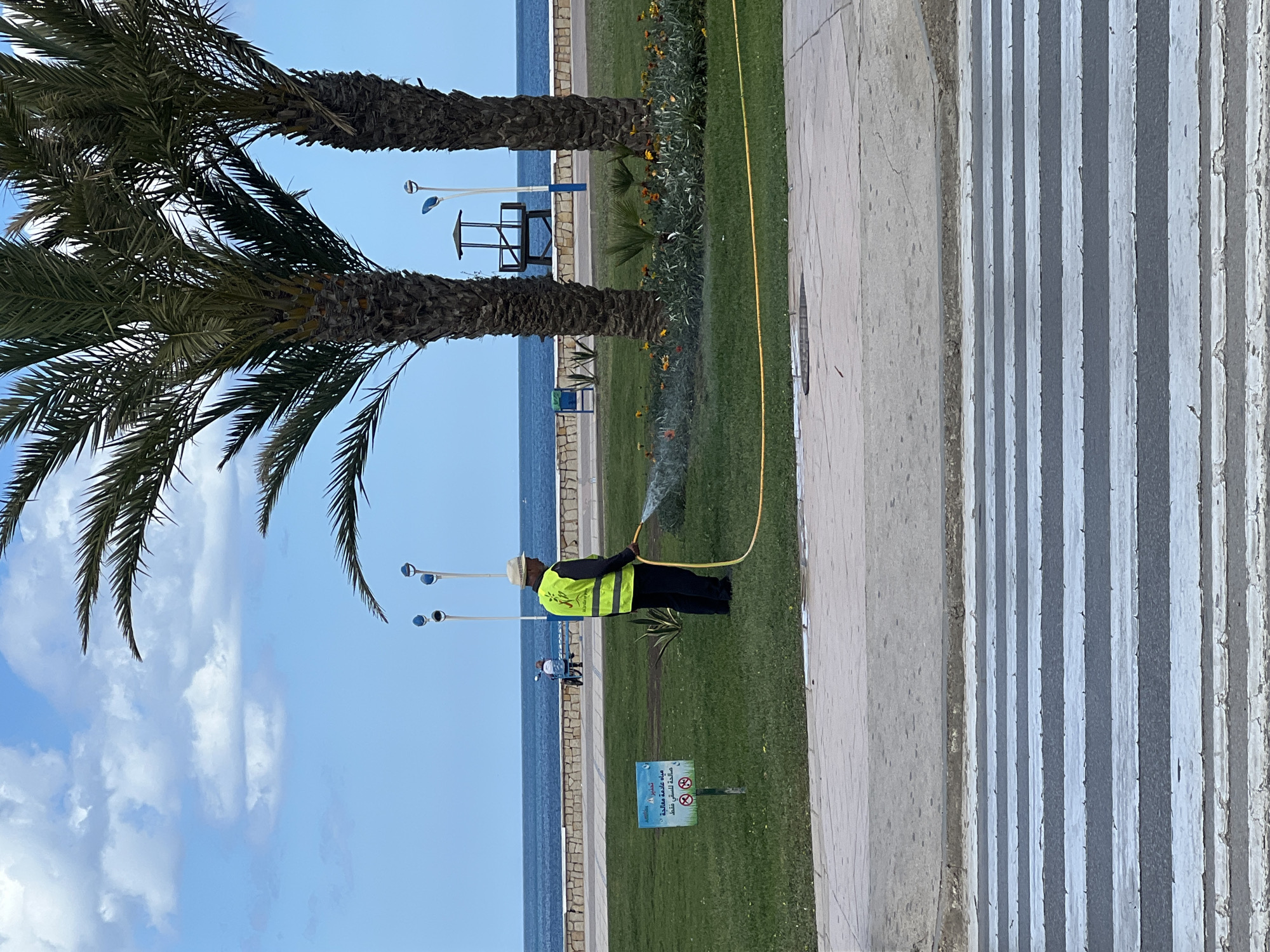 A man in a fluorescent yellow vest and hat is watering a grassy area near the beach in M'Diq, Morocco. He is using a yellow hose, and water is spraying from the nozzle. The location is alongside a concrete promenade with alternating gray and white stripes. Palm trees are visible in the background, along with the blue ocean and sky with scattered clouds. A sign with Arabic text and symbols is planted in the grass. Lampposts are also seen along the beach area. In the distance, a lifeguard observation tower can be observed.