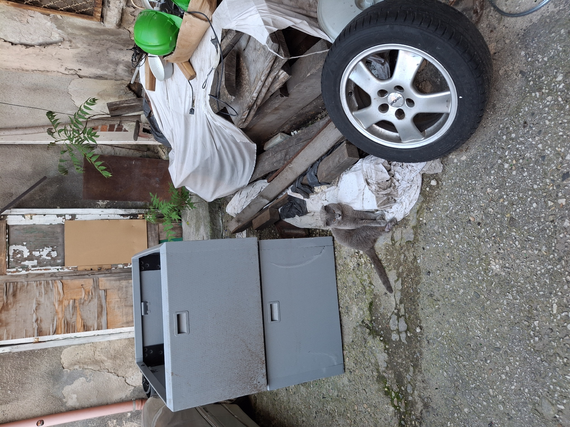 The image shows an outdoor, cluttered space. A gray, short-haired cat is lying stretched out on the ground near a car tire and a pile of discarded materials, including wood, a white tarp, and other items. Next to the cat are two gray storage cabinets. In the background is a decaying wooden structure. The ground is concrete and appears to be partially wet.