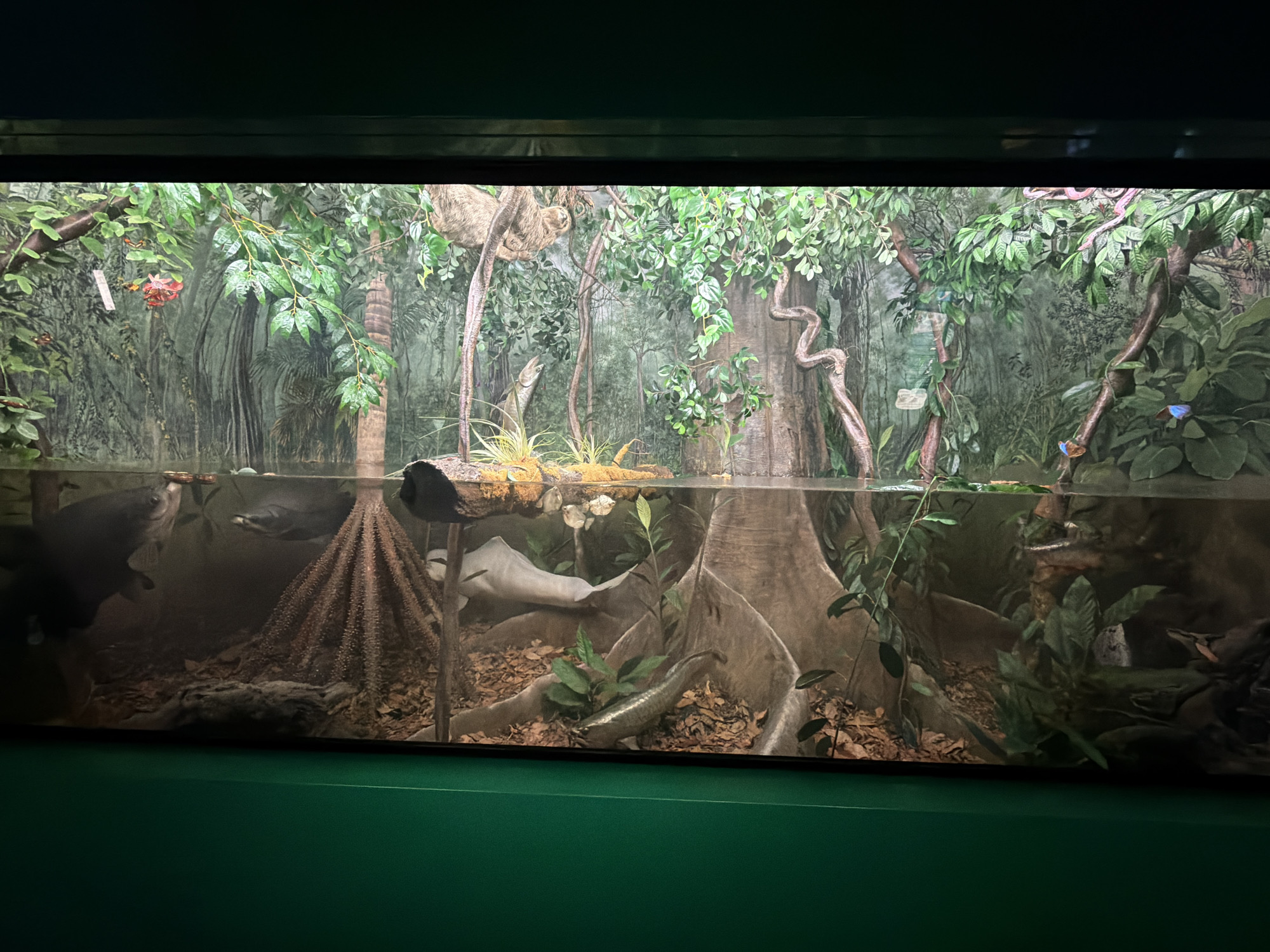 The image shows a large aquarium tank designed to resemble a rainforest environment. The tank is filled with water and contains several fish, including a large, dark fish on the left and a pale, elongated fish in the center. The background of the tank features artificial trees, foliage, and what appears to be a painted mural of a rainforest. A sloth is visible hanging from a branch in the upper portion of the tank. The lighting is dim, highlighting the illuminated aquatic and terrestrial elements. The aquarium is situated in what appears to be a public exhibition space, with a green-colored base visible below the tank. There is no indication of the specific location in Milan, Italy.
