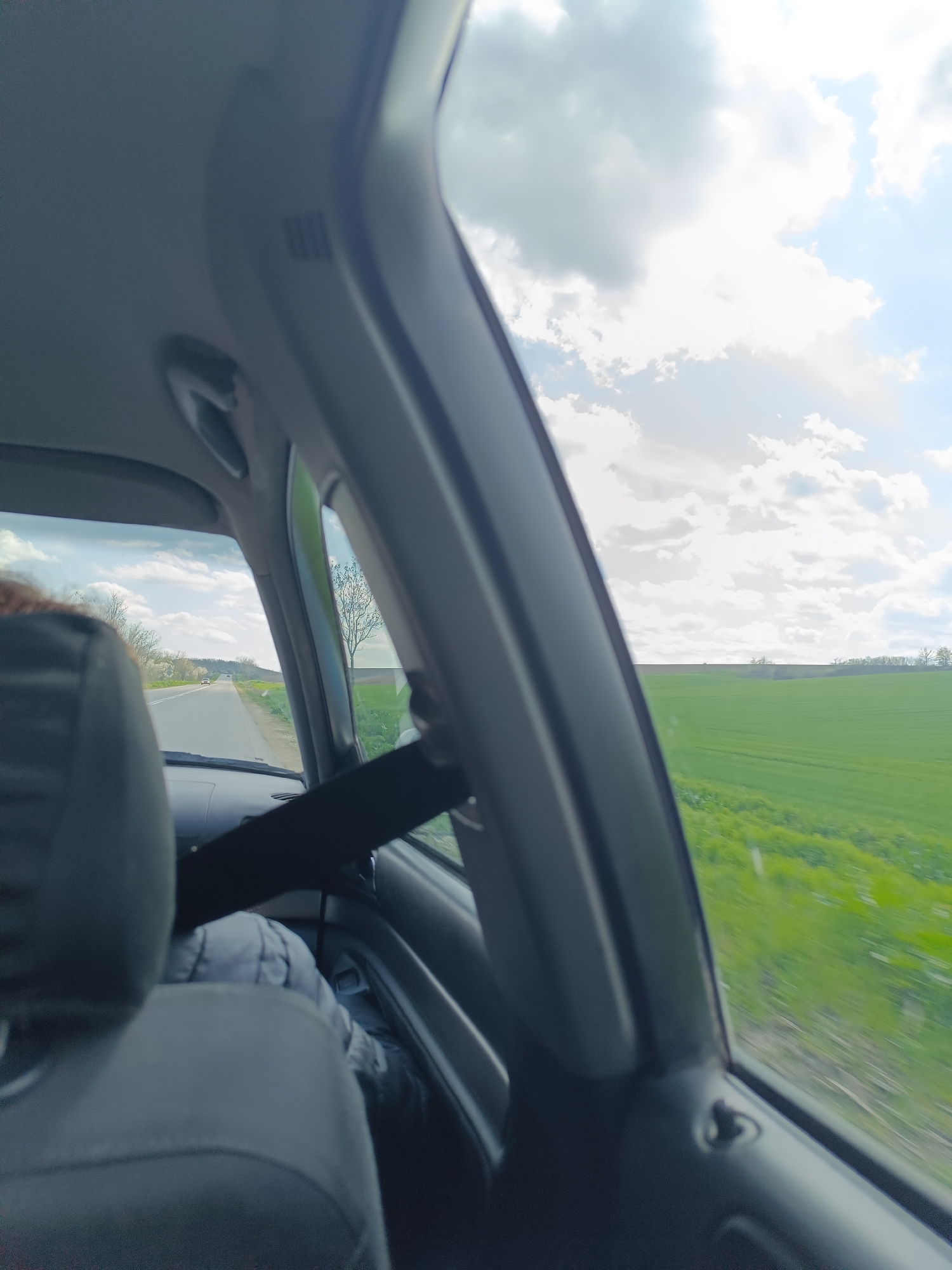 A view from inside a car, likely in motion, reveals a passing landscape. Through the car window, a green field stretches to the horizon under a partly cloudy sky. A road is visible through the front window, indicating the direction of travel. A seat, headrest, and seatbelt are prominent in the foreground, suggesting a passenger's perspective. The location is identified as Koilovtsi, Bulgaria.