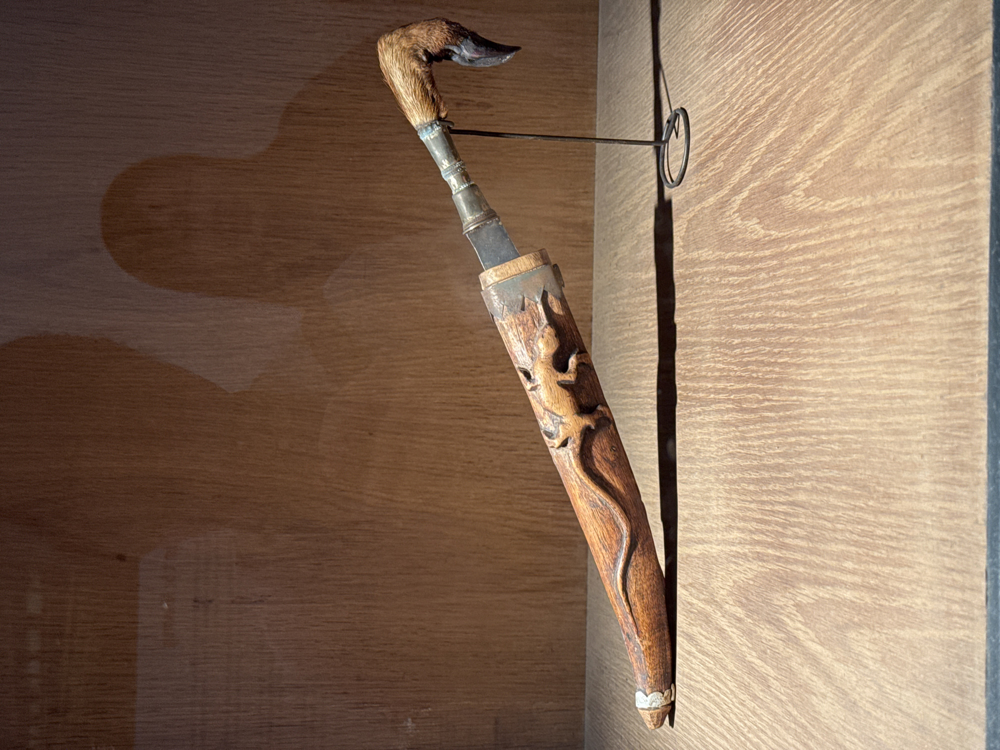 This media file depicts a detailed view of a traditional Vietnamese ceremonial dagger, known as a "dao găm," displayed within a wooden cabinet. The dagger's hilt is uniquely crafted from what appears to be an animal's leg, possibly a deer or goat, with its fur still intact and a curved, dark metal tip. The shaft of the dagger is made of intricately carved wood, featuring flowing, stylized patterns that suggest natural elements like flames or a sinuous creature. Metal accents, possibly silver, adorn the top and bottom of the wooden shaft, providing contrast and detail. The blade of the dagger is visible, partially sheathed in a wooden scabbard. The dagger is suspended by a thin wire hook attached to the wall of the cabinet, casting a distinct shadow. The background is a light-colored, horizontally grained wooden surface, suggesting a well-lit interior space, possibly a museum or private collection. The lighting creates a dramatic effect, highlighting the texture and craftsmanship of the dagger. No people or specific time of day or weather are discernible. The context of Hanoi, Vietnam, implies this artifact may be culturally significant to the region.
