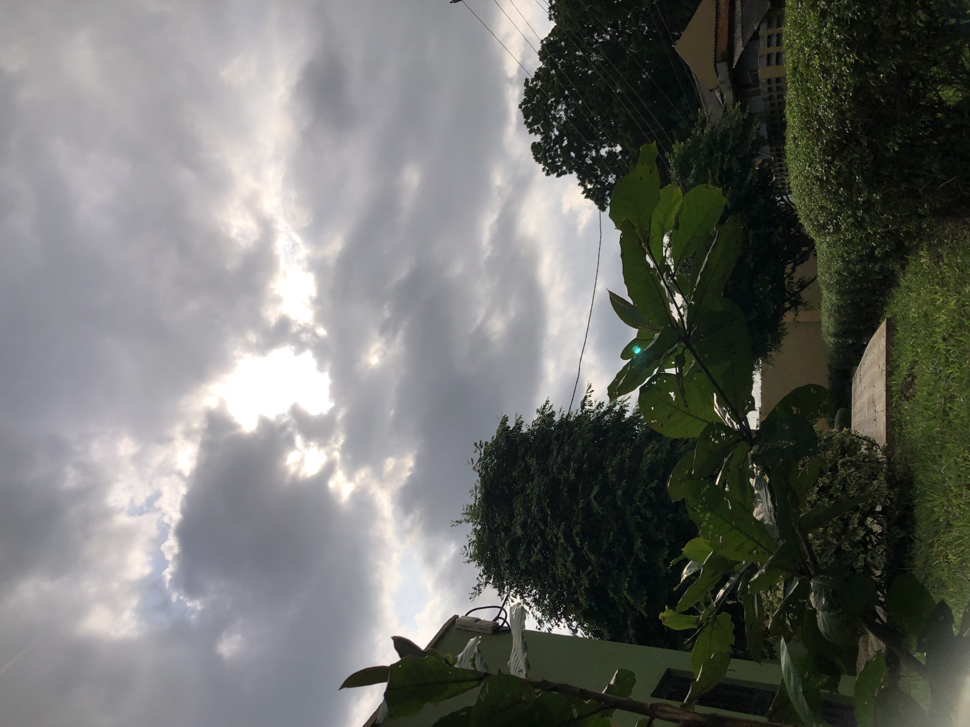 A cloudy sky with the sun peeking through is visible above a residential area. In the foreground, the leaves of a plant are in sharp focus. Behind it, a light green building with white tape on its side is visible. Further back, dense green trees and a hedgerow line the property. A paved walkway and grass are also visible in the scene. Electrical wires crisscross the sky, and a small portion of a house with a brown roof is seen on the right. The overall impression is that of a serene, slightly overcast day in a suburban environment.