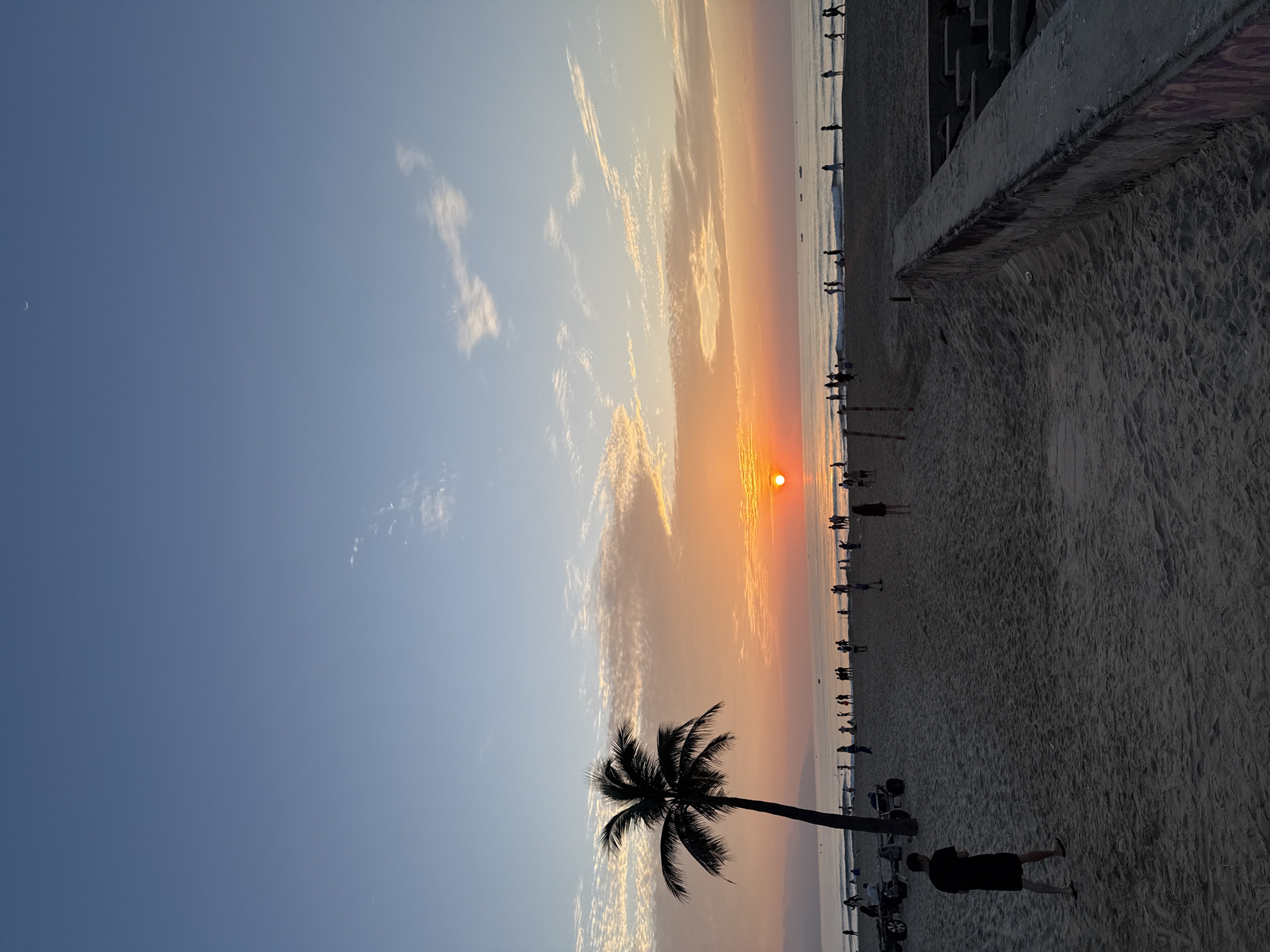 This is a photograph taken at sunset on a beach in Da Nang, Vietnam. The sun, a brilliant orange orb, is setting over the ocean, casting a warm glow across the sky. Wispy clouds, tinged with pink and orange, stretch across the horizon. In the foreground, a lone palm tree stands silhouetted against the vibrant sky. The sandy beach is populated with numerous people engaged in various activities, some walking, others standing or sitting. The sea is calm, with gentle waves lapping at the shore. The image captures a serene and idyllic scene of a beach at dusk.