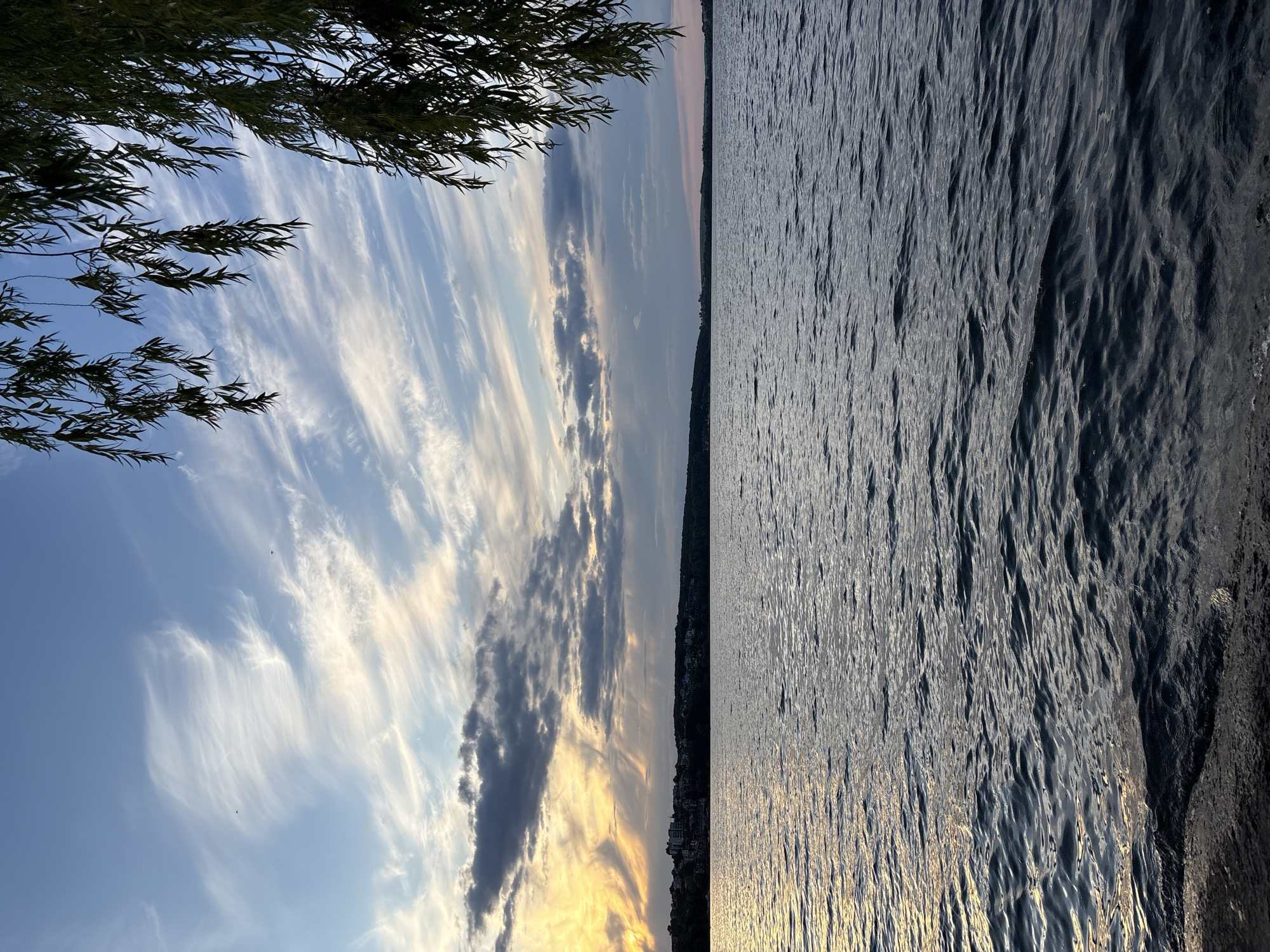 This is a landscape photograph taken at sunset by the Ternopil Lake, located in the city of Ternopil, Ukraine. The image depicts a serene body of water with gentle ripples reflecting the warm hues of the setting sun, which is visible on the left side of the frame behind a band of clouds. The sky above is a gradient of blue, transitioning to softer pinks and oranges near the horizon, and is adorned with wispy white clouds. On the far shore, a distant treeline and a few buildings are silhouetted against the sky. In the foreground, the dark, textured shore of the lake is visible. To the right, the drooping branches of a willow tree frame the upper portion of the scene. No people or animals are present in the image.