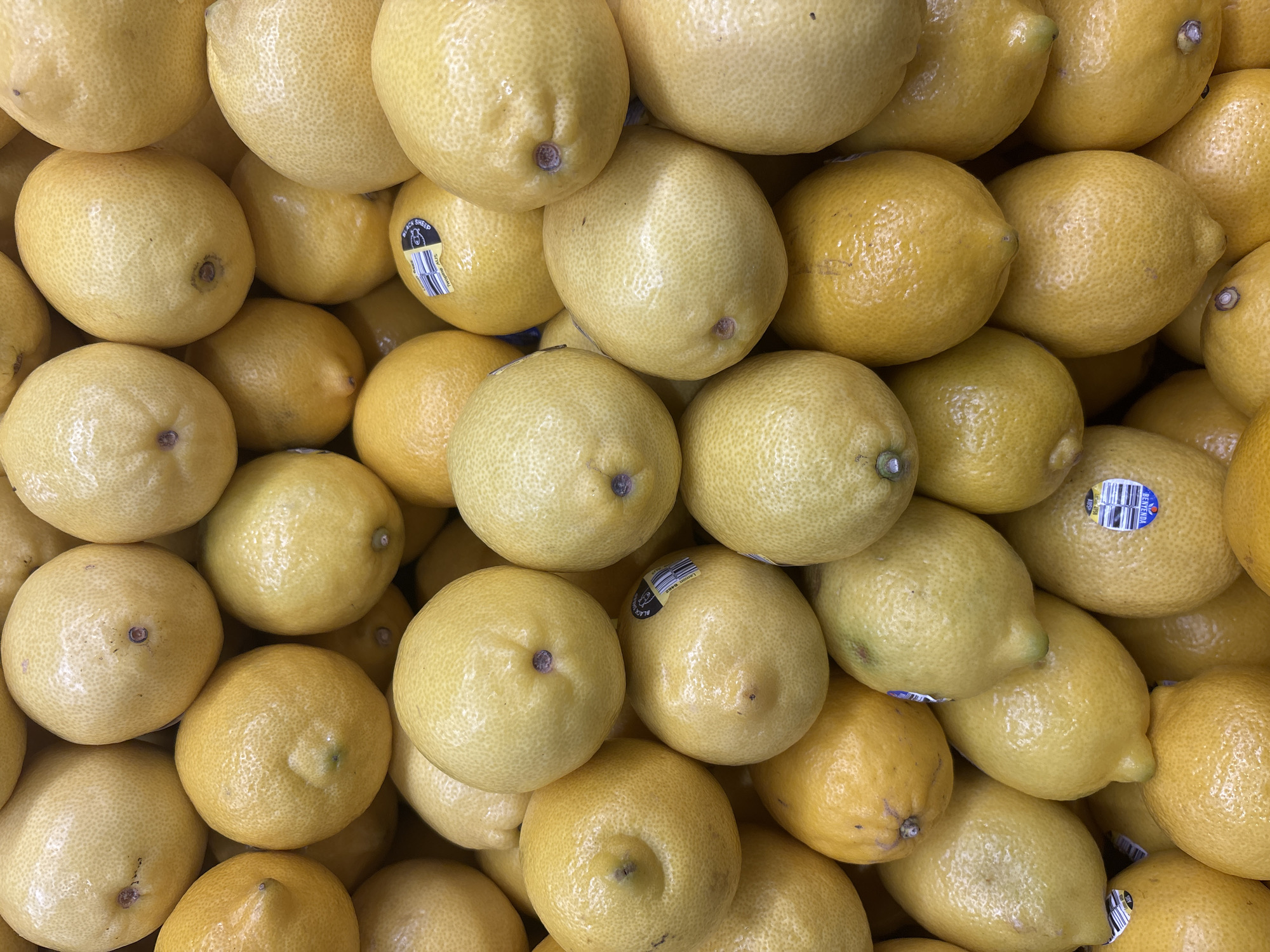 A top-down close-up shot displays a pile of ripe, yellow lemons. Some lemons have small, round indentations where the stem was attached. A few of the lemons have stickers with various markings. The lemons are tightly packed, creating a textured surface. The lighting is bright, highlighting the glossy skin of the fruit. This image was taken at a supermarket in North Jakarta, Indonesia.
