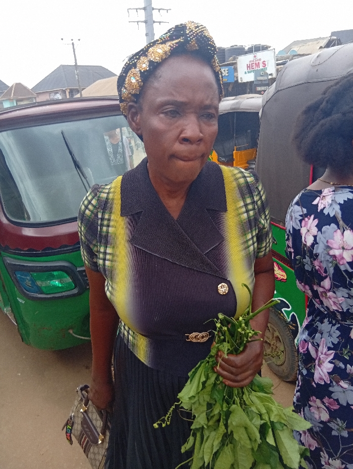 An adult female stands on an unpaved street in Ura Nta Umuarandu, Nigeria, with her body angled slightly to the right, looking forward. She wears a black and gold patterned headwrap, a short-sleeved top with a black central panel and vertical yellow and white striped sides, a black pleated skirt, and a gold-colored buckle/clasp at her waist. She holds a brown, patterned handbag with a striped strap in her left hand and a bunch of fresh green leafy vegetables in her right hand. Her lips are pursed.
To her immediate right, the upper torso and back of a second individual are visible, wearing a dark blue dress with a light pink and white floral pattern. Behind the primary subject and to the left, a green and red three-wheeled auto-rickshaw is partially visible. Further in the background, another dark-colored auto-rickshaw is present, along with buildings, including one with a white sign displaying "HEM'S D CHEMIST & SUPERMARKET". Utility poles are visible against an overcast sky. The ground appears to be dirt or gravel.