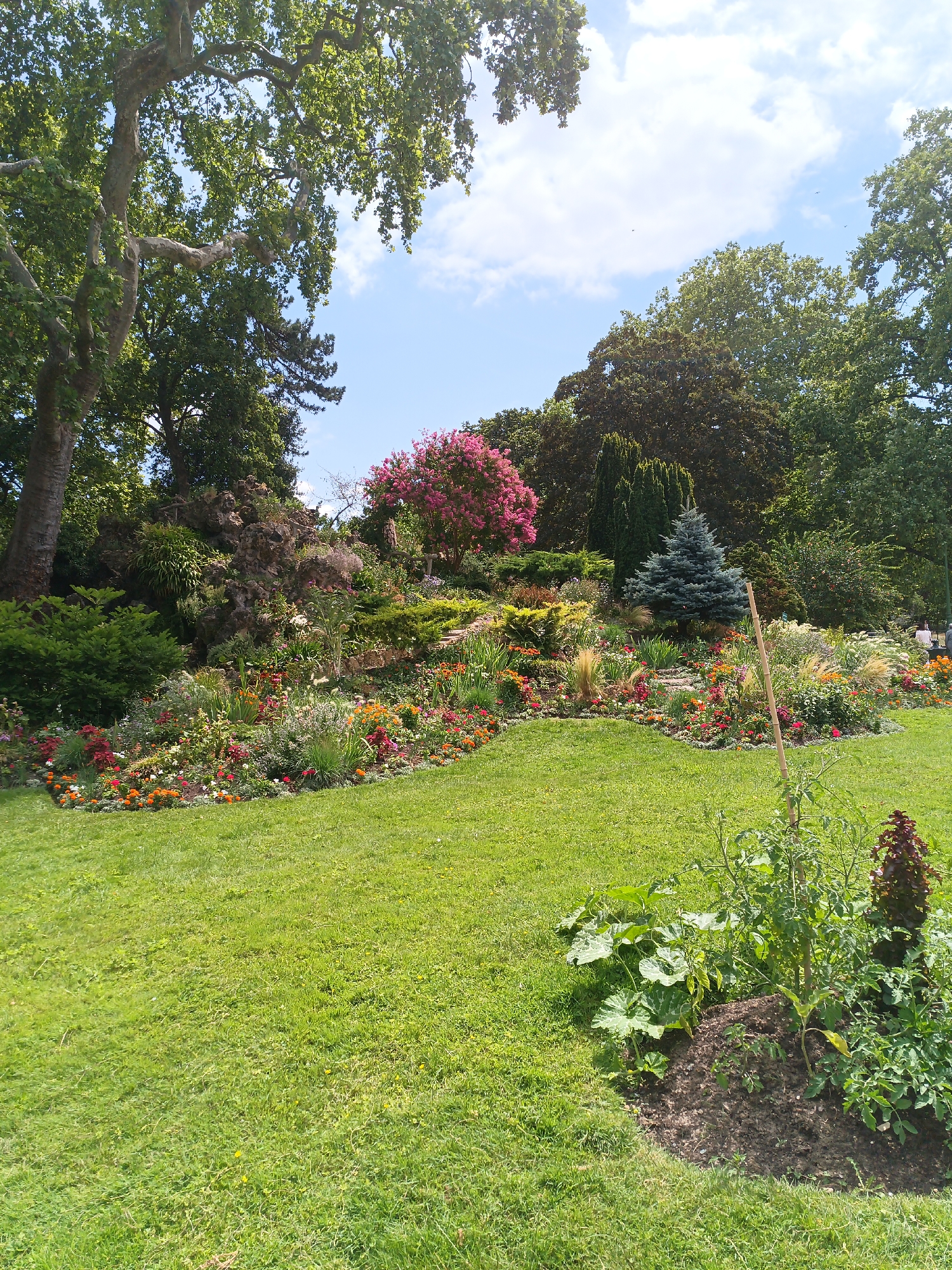 The image depicts a vibrant park scene on a sunny day in Paris, France. A lush green lawn fills the foreground, leading to a meticulously maintained flower bed. The flower bed is a riot of colors, featuring a diverse array of blooming plants in shades of pink, orange, red, and yellow. Behind the flowers, a large rock formation is covered in greenery and moss. Towering trees, with dense foliage, frame the scene from the left and rear, casting dappled shadows on the ground. In the mid-ground, a small, blue spruce tree stands out amongst the more colorful flora. The sky above is a brilliant blue, dotted with fluffy white clouds. A thin, bamboo-like stake stands upright in the foreground, near a patch of young plants. In the far right background, two indistinct figures can be seen standing near a path, suggesting other visitors are present in the park. The overall impression is one of natural beauty and careful landscaping, characteristic of Parisian public gardens.