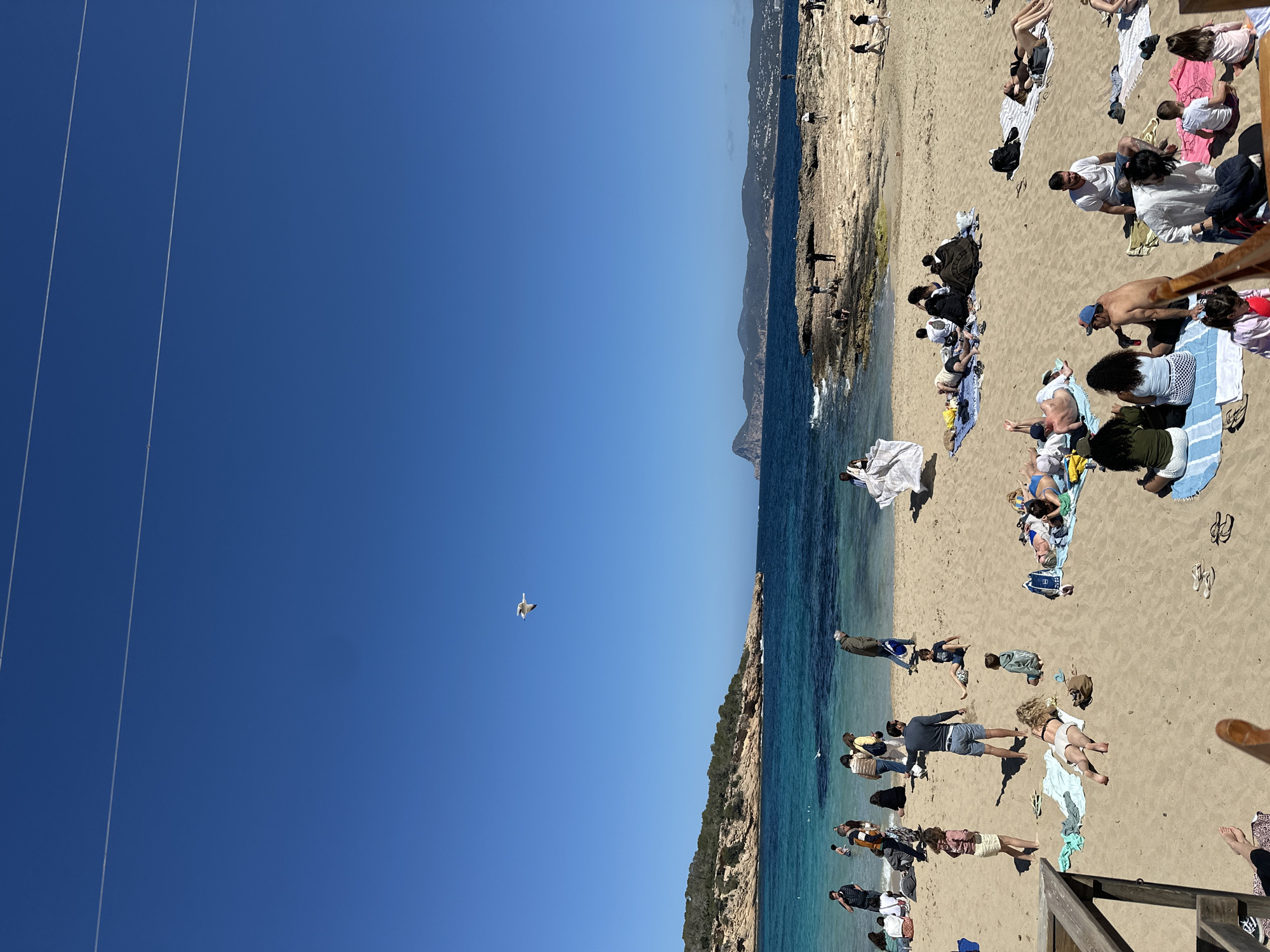 The image shows a beach scene in Sant Josep de sa Talaia, Spain. A clear blue sky dominates the left side of the image. A single white bird flies in the sky. The coastline is visible on the right, with a sandy beach occupied by numerous people sunbathing, walking, and relaxing. Some people are on towels, others are in the water. The sea is clear and turquoise near the shore, transitioning to a deeper blue further out. A rocky cliff covered with vegetation separates the beach from the sea. The scene is brightly lit, suggesting a sunny day. Some power lines run across the upper left side of the image.