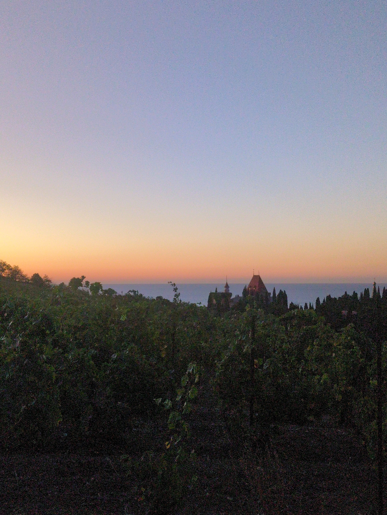 The image depicts a landscape at dusk with a castle-like structure in the distance, set against the backdrop of the sea and a gradient sky of orange, purple, and blue. In the foreground, a dense vineyard or shrubbery dominates, casting much of the immediate area in shadow. The vineyard's leaves are dark green, creating a textured foreground. Behind the vineyard, a line of cypress trees and other foliage partially obscures the view of a body of water, likely the Black Sea. Silhouetted against the water is a prominent building with a distinctive red-tiled roof and several spires, which appears to be a castle or palace. To the left and right of this central structure are other buildings, including a smaller tower and what might be a church spire. The overall lighting suggests a time shortly after sunset, with soft, diffused light. The location is identified as the city of Utios, Ukraine.