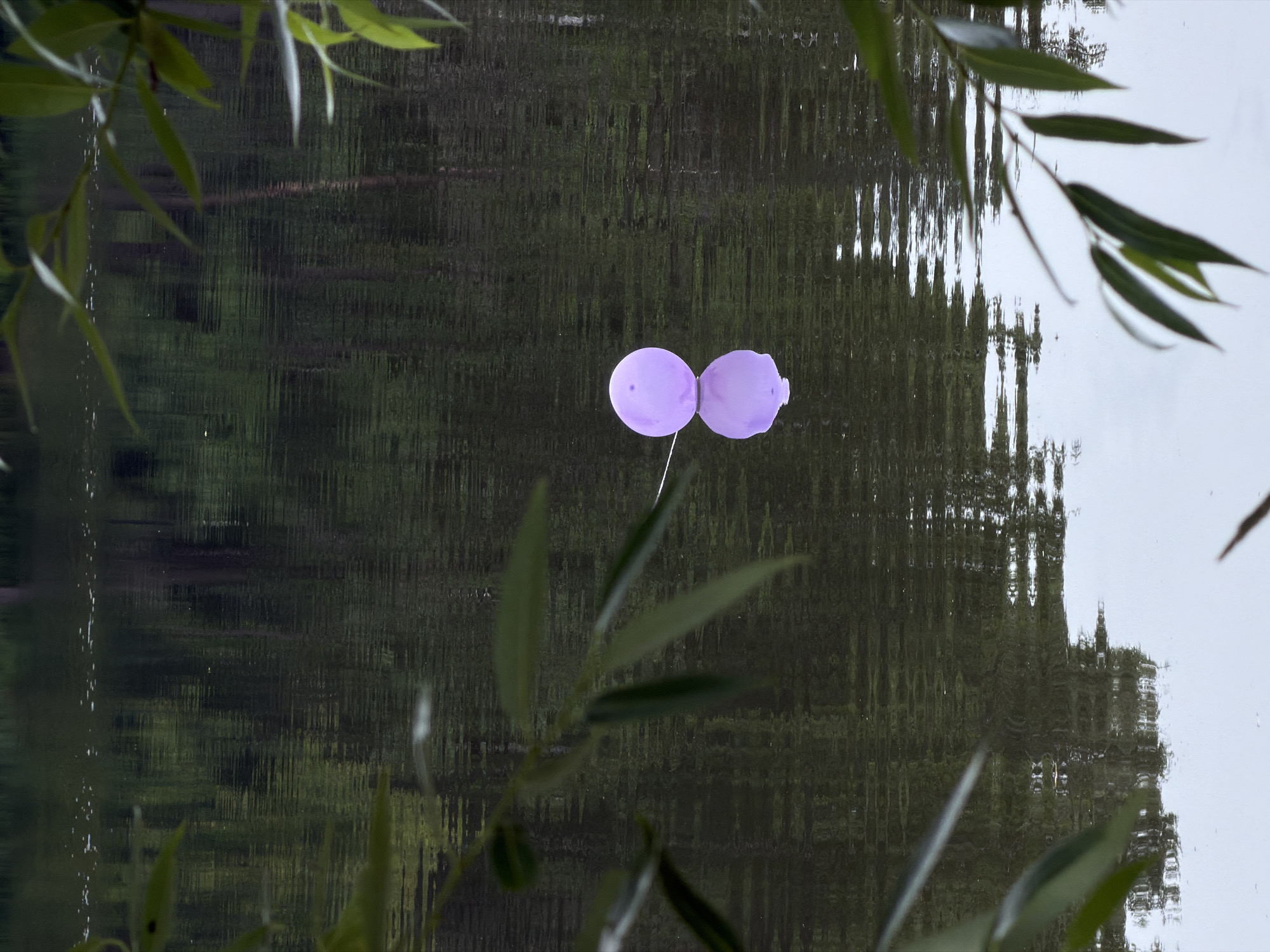 A solitary lavender balloon floats on the surface of a dark, rippling body of water, casting a clear reflection below. The scene is framed by the blurred green leaves of trees in the foreground and background. The water's surface reflects the dense, dark green foliage of trees lining the opposite bank, with subtle hints of lighter sky reflecting in the lower portion of the image. The overall impression is one of quiet solitude and a touch of melancholy. The location is identified as Malakhovka, Russia.