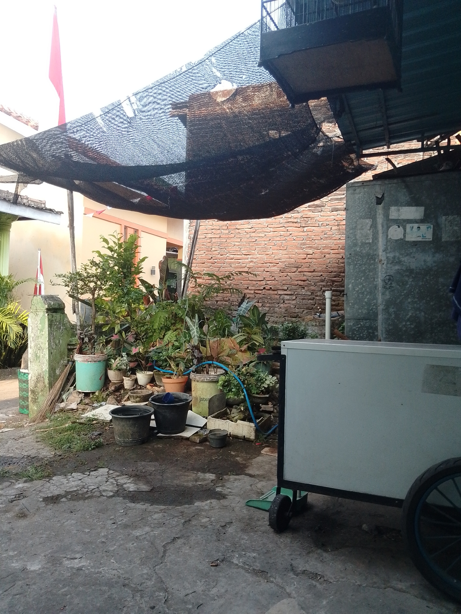 The image depicts an outdoor scene in Kecamatan Pati, Indonesia, under a black mesh shade structure. In the foreground, a cracked concrete surface leads to a light blue wheeled cart. To the left of the cart is a collection of potted plants of various sizes and colors, some with foliage and others with dry leaves. Two black buckets, one containing a blue object, are placed near the plants. A broom leans against a rough, light-colored stone pillar to the far left. Behind the plants, a brick wall is visible, and a white pipe extends upwards from the ground. To the left of the brick wall, a building with light-colored walls and a reddish-orange roof is partially visible, with a red and white flag on a pole. The overall environment suggests a residential or small business outdoor area, possibly a garden or a service area.