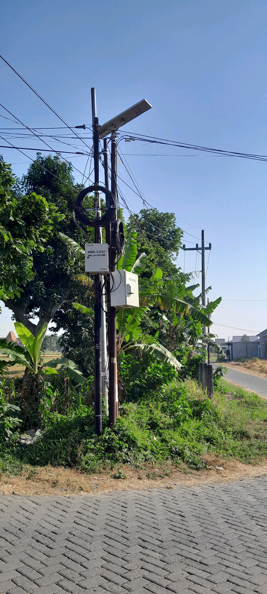 A utility pole stands on a paved road with interlocking gray bricks in the foreground. The pole is adorned with numerous electrical wires and a solar-powered street lamp. Two white utility boxes are attached to the pole, one labeled "PKM-3.010" and the other with a serial number that is partially obscured. Dense green vegetation, including banana trees, surrounds the base of the pole. In the background, there are houses and a road leading into the distance, under a clear blue sky. The scene depicts a typical streetscape in a residential area, likely in Bendungan, Indonesia.