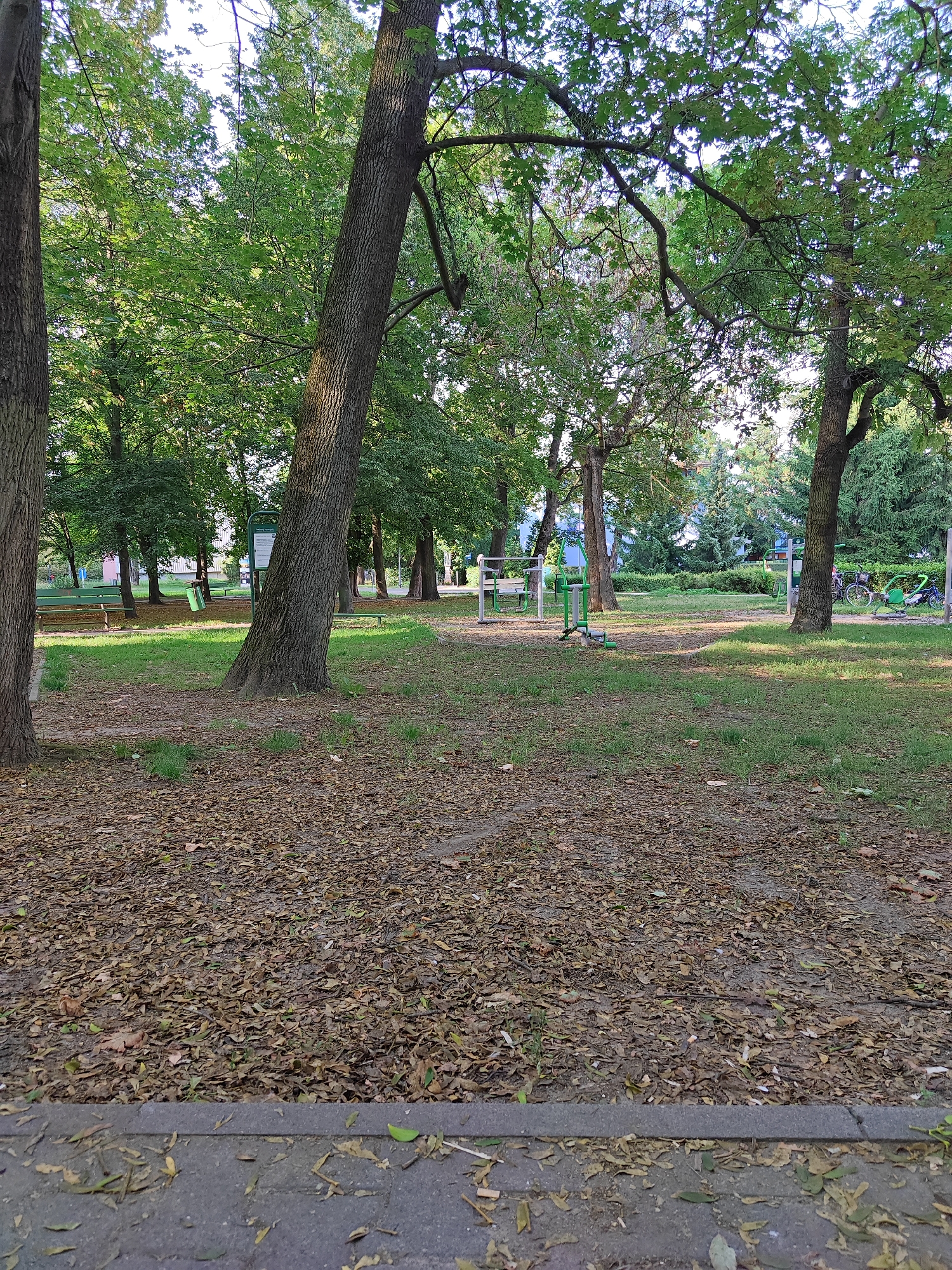 The image shows an outdoor park area, likely in Poznan, Poland, with a path in the foreground covered in fallen leaves. Beyond the path, a grassy area is dotted with more leaves. Several large trees with green foliage are present, casting shadows. In the mid-ground, there are park amenities including green exercise equipment and benches. A sign with green text on a white background is visible behind a prominent tree trunk. In the background, more trees and some buildings can be seen. To the right, two bicycles are parked. The scene appears to be a public space designed for recreation.