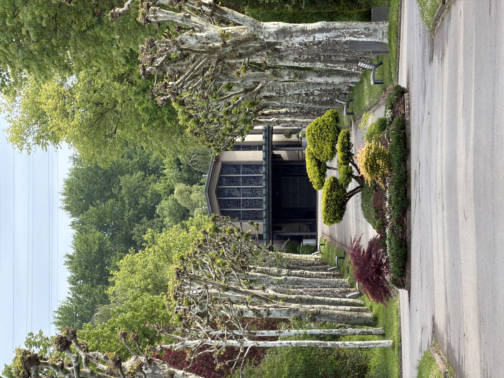 The image depicts a tree-lined avenue leading towards a building, likely a chapel or mausoleum, within a cemetery. The avenue is paved, with rows of meticulously pruned trees lining both sides. There are benches placed along the avenue. A flower bed runs alongside the pavement on the right side of the image. The style of the building and the presence of pruned trees suggest a location in Europe, specifically in the city of Esch-sur-Alzette, Luxembourg. The sky is overcast. No people are visible in the image.