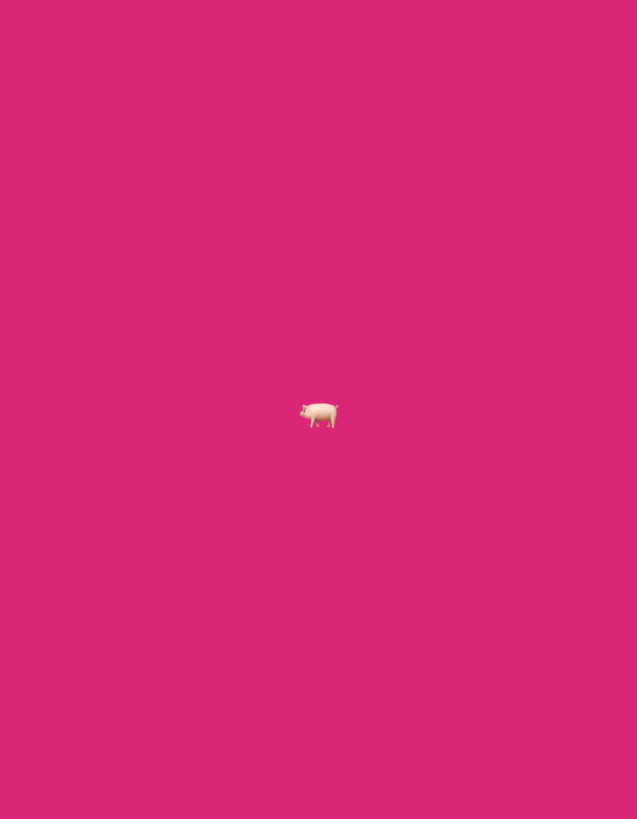 The scene, located in Erba, Italy, displays a single, stylized, light-pink pig emoji centered against a uniform magenta background. The pig is oriented to its left, with minimal detail, presenting a static image. No other subjects, objects, actions, or environmental details are present.