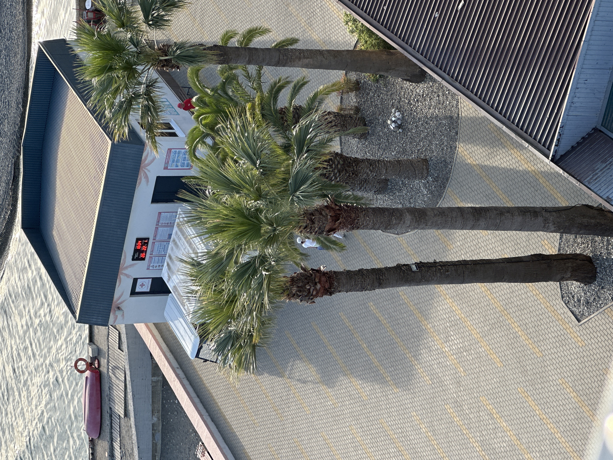 An aerial, eye-level shot shows a section of a paved walkway adjacent to a building with a dark metal roof. Palm trees are scattered throughout the scene, casting shadows on the ground. The building has a white facade with a door and several signs posted. A digital display on the building shows the time as 10:34 and the temperature as 26°C. In front of the building, a few people are visible, including one person in a white uniform walking away from the camera. Behind the building, a body of water with ripples is visible, and a red kayak is resting on a wooden platform. The area is clean and well-maintained, suggesting it is a public space, likely a resort or a recreational area. The presence of palm trees and the warm temperature indicated by the display suggest a coastal location in a warm climate. Specifically, this scene is located in Uch-Dere, Russia.