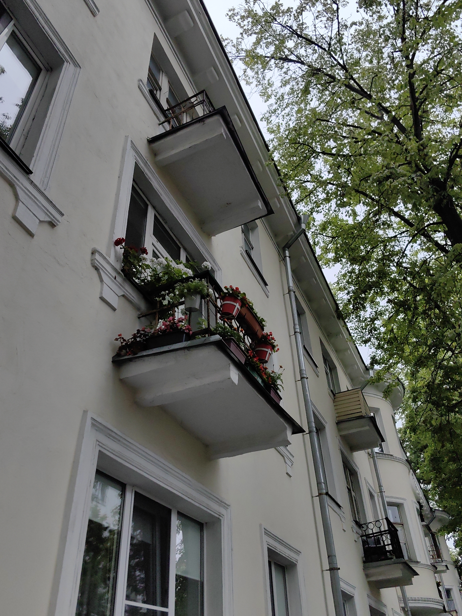 An exterior, low-angle, upward shot captures a pale yellow apartment building facade adjacent to lush green trees. The building features multiple balconies adorned with potted flowers in various shades of red and white. The architectural style suggests a European, possibly Soviet-era apartment complex. Rain gutters and downspouts are visible along the building's edge. The sky is overcast. The scene is consistent with an urban residential area. The specific location is unknown, but the architecture and foliage are characteristic of cities in Eastern Europe, including Minsk, Belarus. There are no people or vehicles visible in the frame.