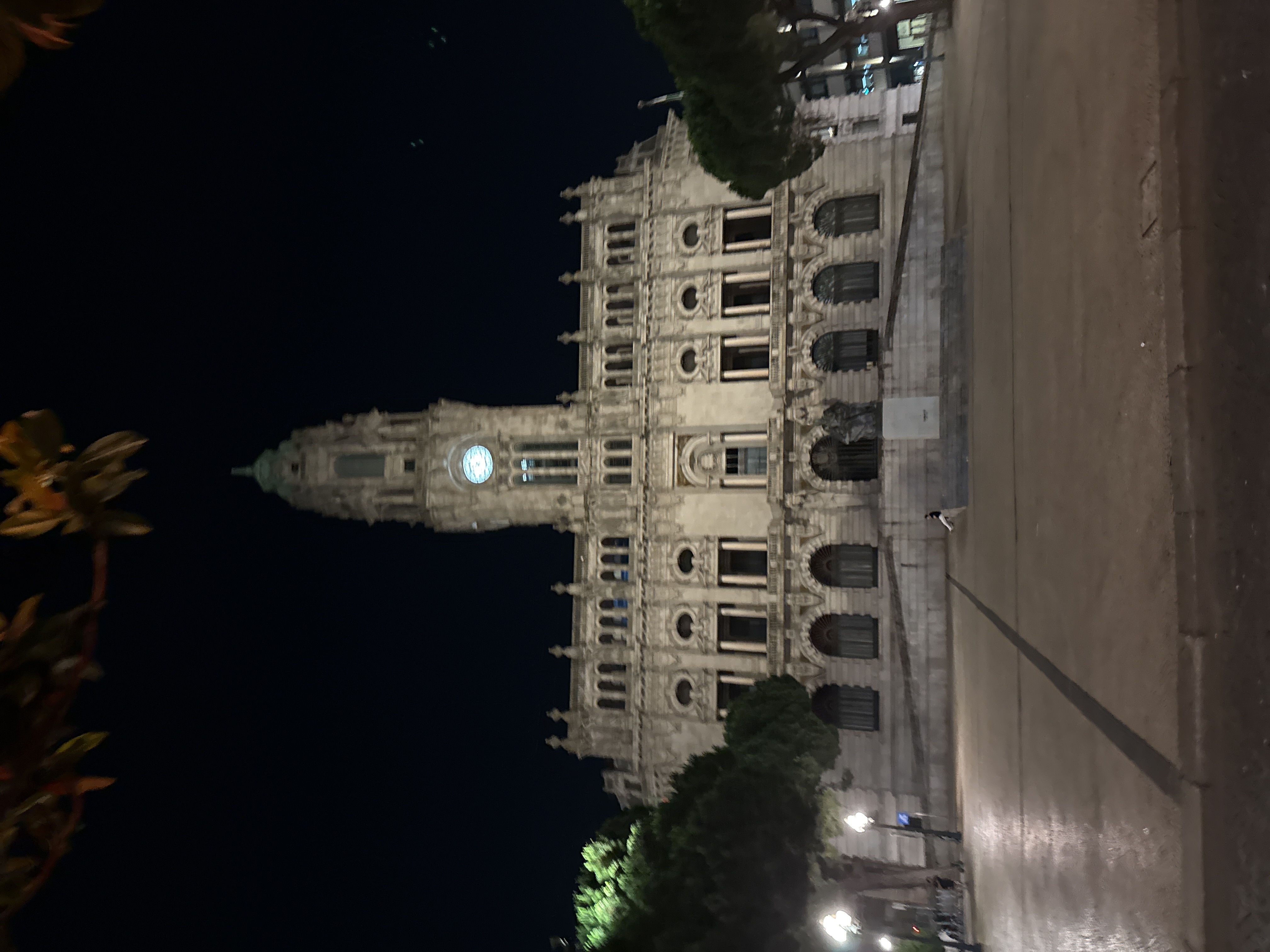 Here is a detailed description of the image:
The image shows the Porto City Hall (Câmara Municipal do Porto), located in Porto, Portugal, at night. The building is illuminated and contrasts with the dark night sky. The architecture is ornate, with a clock tower prominently visible. The surrounding environment includes trees and a paved plaza. There is a figure that looks like a pigeon on the walkway, and a few lights on the bottom.