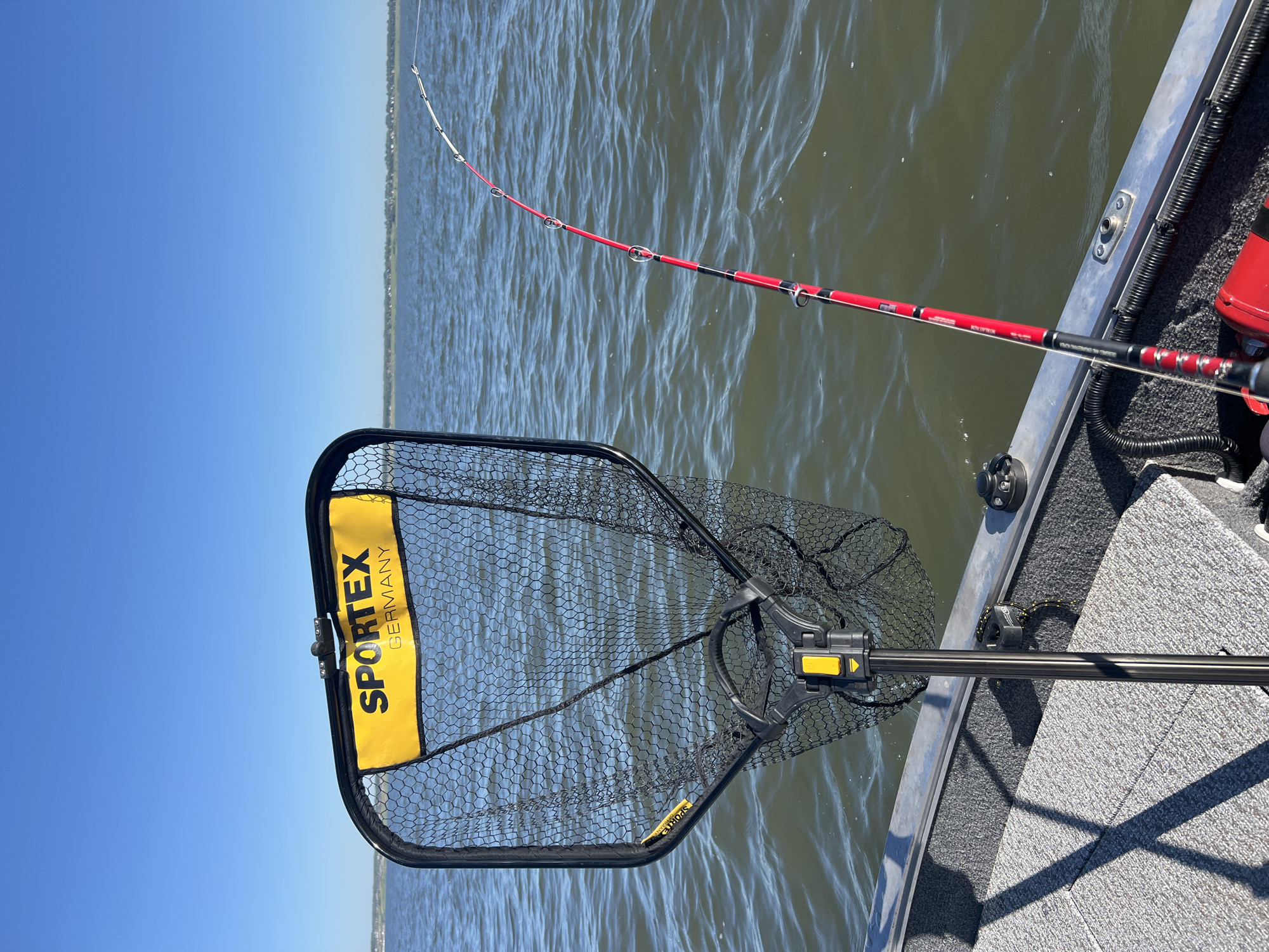 This is an eye-level, medium shot of a fishing net and fishing rod from the perspective of someone in a boat on a body of water. The fishing net, featuring a yellow label with "SPORTEX GERMANY" written in black, is positioned on the left side of the frame. Its black mesh net is visible, and its handle is black with a yellow accent. To the right of the net is a red fishing rod with black accents, its tip bent slightly, indicating it is in use or has tension on it. The rod has several silver guides. The boat's interior, covered in gray carpet, is visible in the foreground, with its metallic edge to the left. The background consists of a vast expanse of greenish-brown water under a clear, bright blue sky. The distant horizon shows a faint line of trees and buildings, suggesting a populated shoreline. The overall scene depicts a fishing activity on a sunny day.
