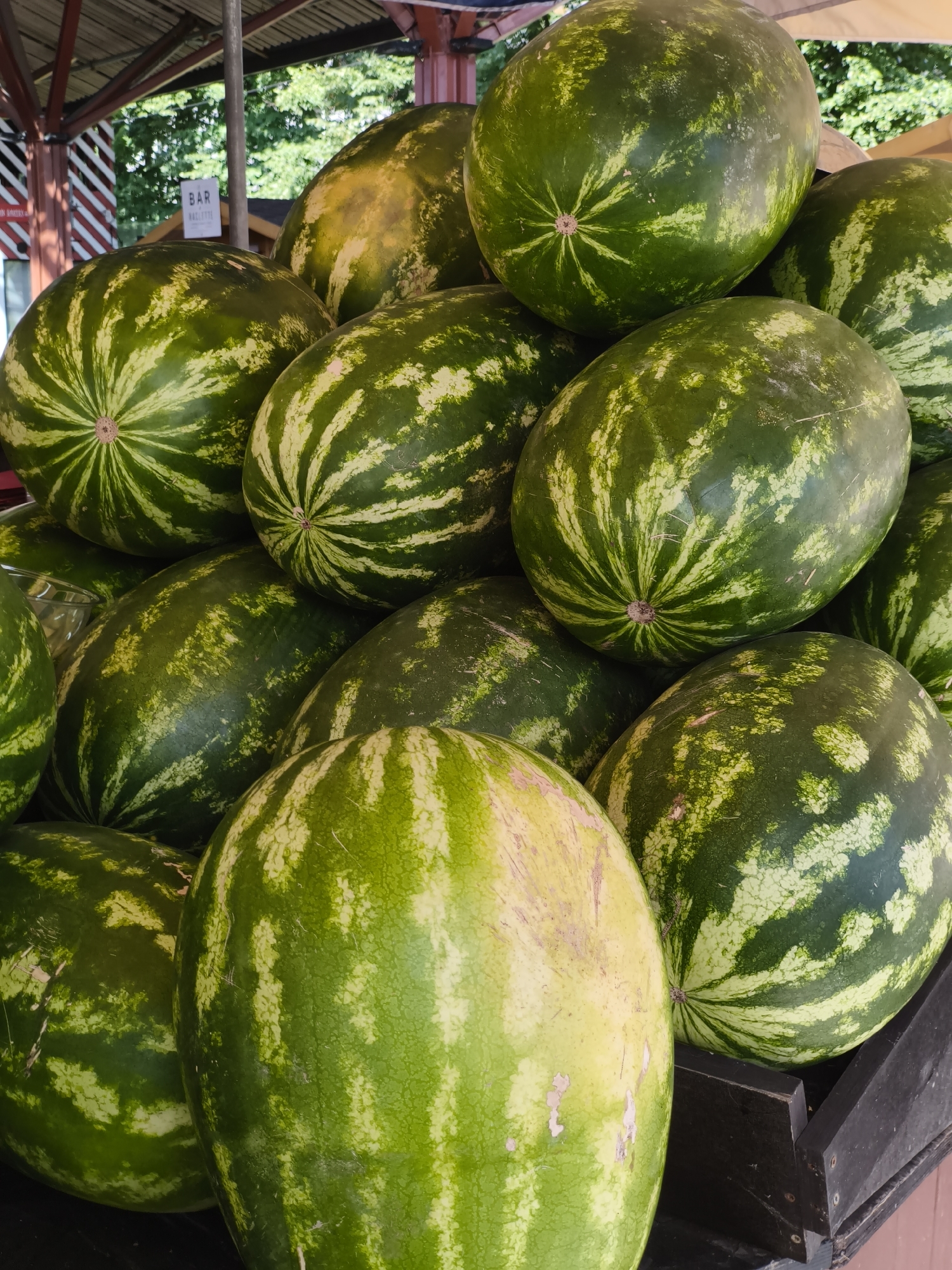 A close-up, eye-level shot depicts a large pile of watermelons at an outdoor market. The watermelons, predominantly green with lighter striped patterns, are stacked unevenly in what appears to be a wooden crate. Some of the watermelons have a light yellow hue, suggesting they may have been resting on the ground. In the background, out of focus, are trees, a tent-like structure with a corrugated roof, and a small sign that reads "BAR" and "NACIK." The overall scene suggests a warm, sunny day at a fruit stand in Tallinn, Estonia.