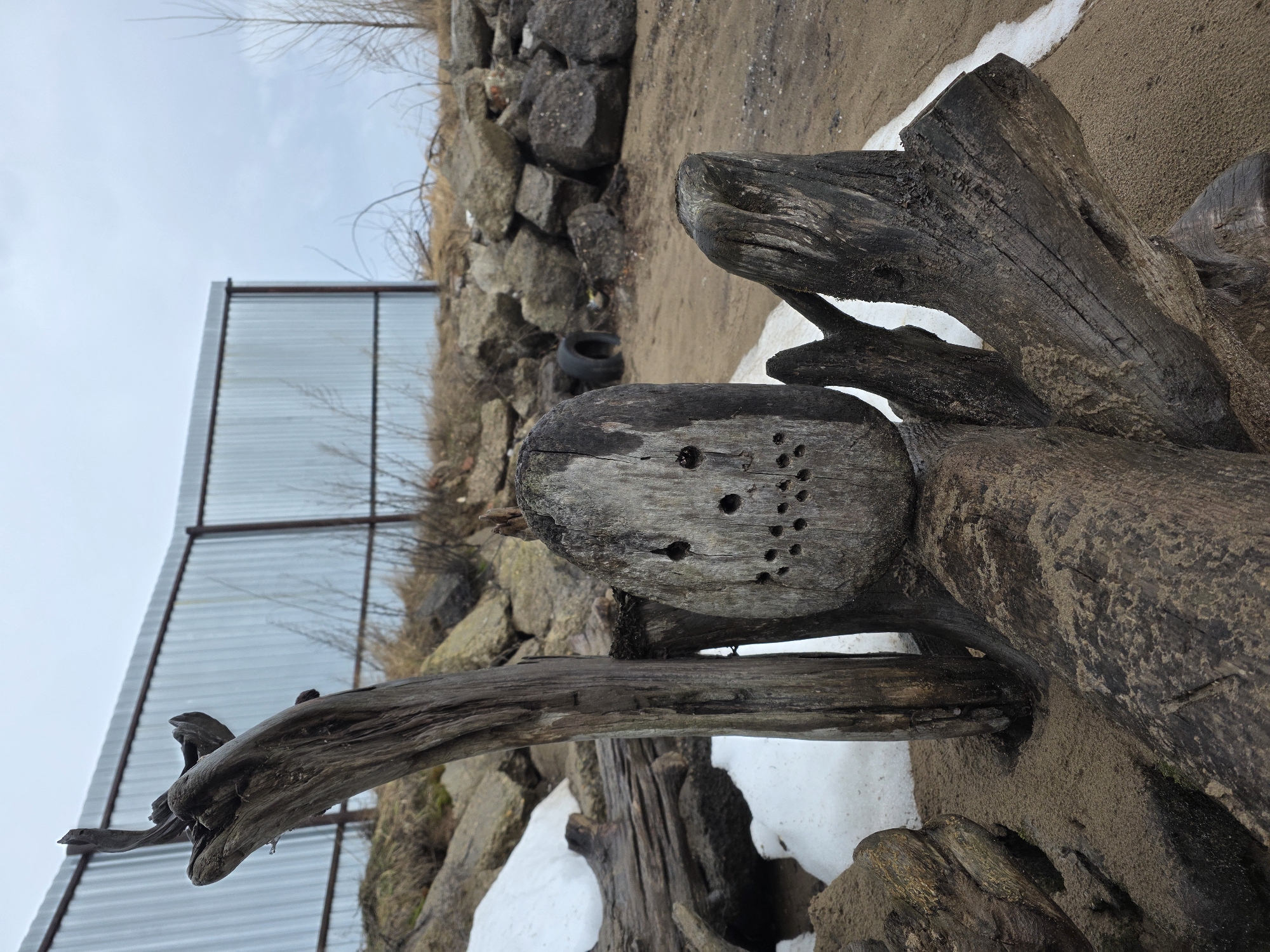 The image shows a close-up of a wooden sculpture made from driftwood logs on a sandy surface with patches of snow. The sculpture has several holes drilled into one of its logs. Behind the sculpture is a man-made retaining wall constructed of rough stones and a corrugated metal fence. In the background, a tire rests against the stone wall. The sky is visible above the fence, indicating an outdoor setting. This photograph was taken at the location of Chaikovsky, Russia.