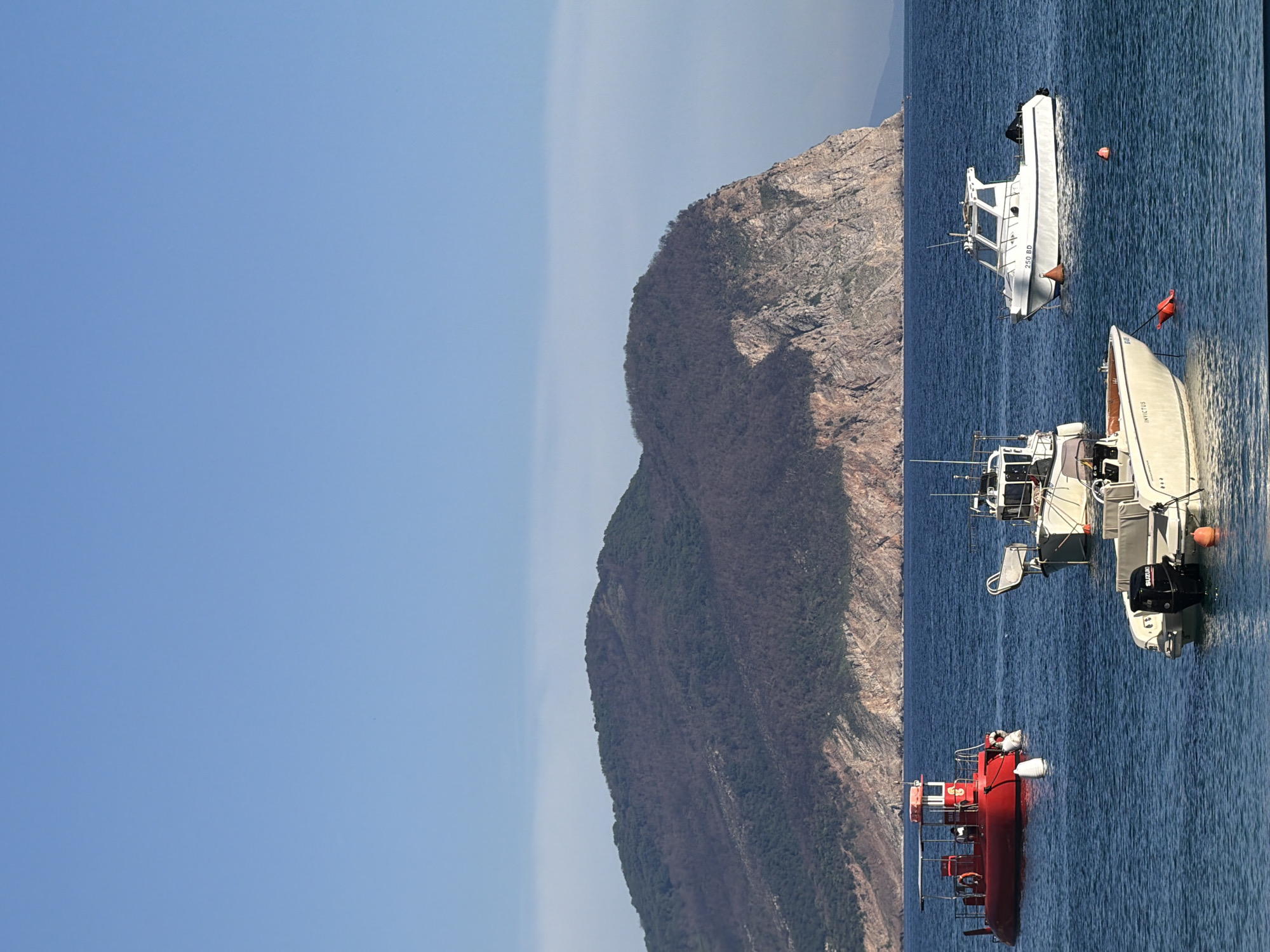 In Petrovac Centar, Montenegro, a clear blue sky is visible above a calm, deep blue sea. In the distance, a large, tree-covered mountain with rocky cliffs dominates the horizon. In the foreground, several boats are moored in the water. On the left, a bright red boat with a canopy is carrying passengers. To its right, a white cabin cruiser is anchored. In the center foreground, a smaller white boat with an outboard motor is visible.