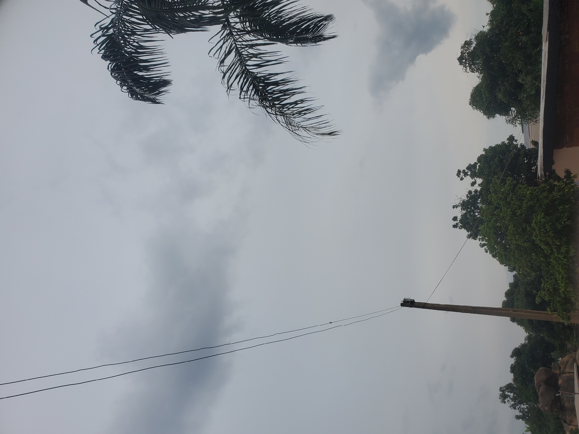 The image depicts an overcast sky with dark clouds looming, suggesting impending rain. In the foreground, a utility pole stands tall, with electrical wires stretching diagonally across the frame. To the right, the fronds of a palm tree are visible against the sky, their dark silhouettes contrasting with the muted light. Below the sky, a line of lush green trees forms a dense canopy, with some foliage overlapping. The scene appears to be located in Jos, Nigeria, based on the presence of typical vegetation and utility infrastructure found in the region. No people or specific actions are discernible.